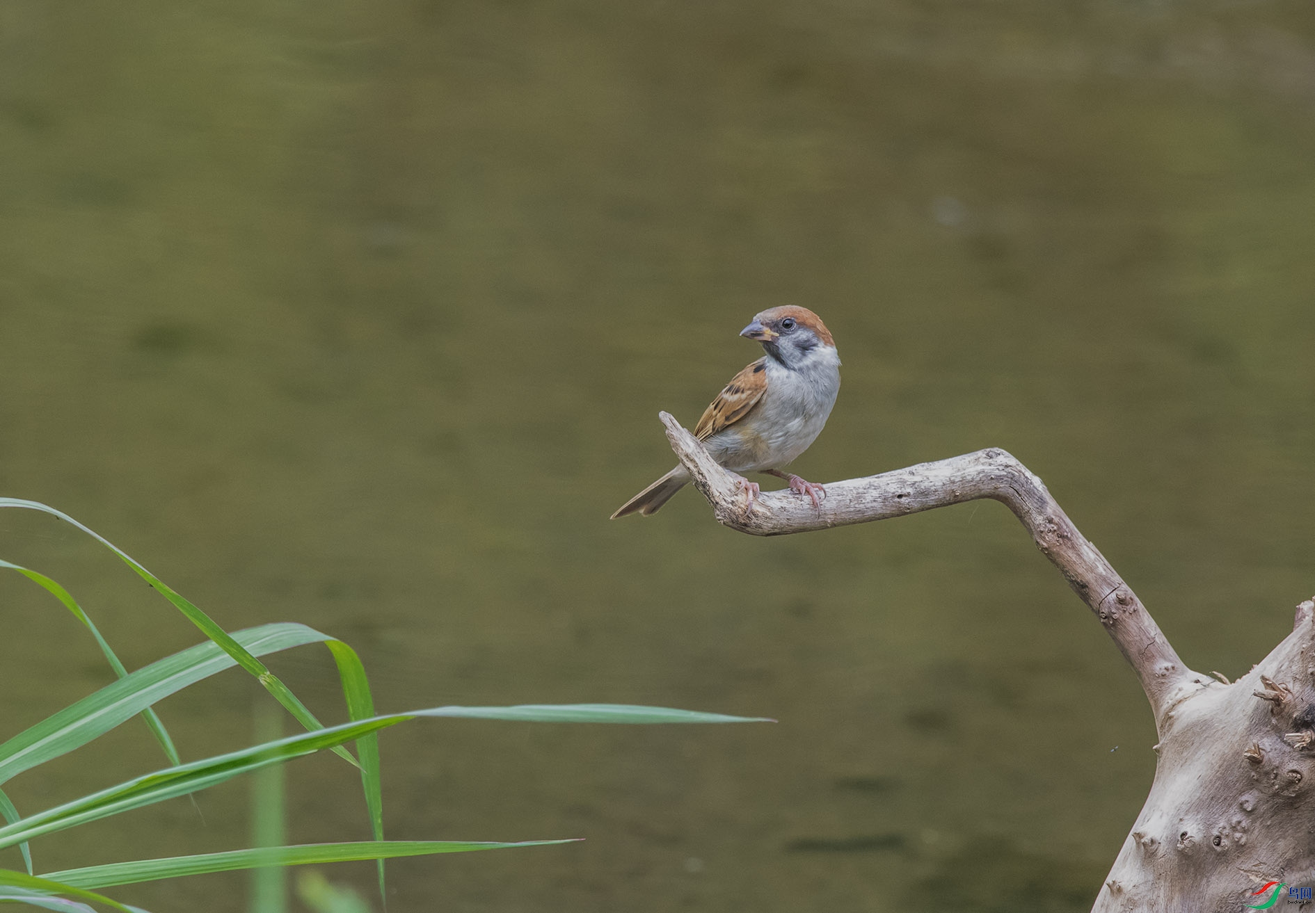 DSC_3819_��ͼ�� ����.jpg
