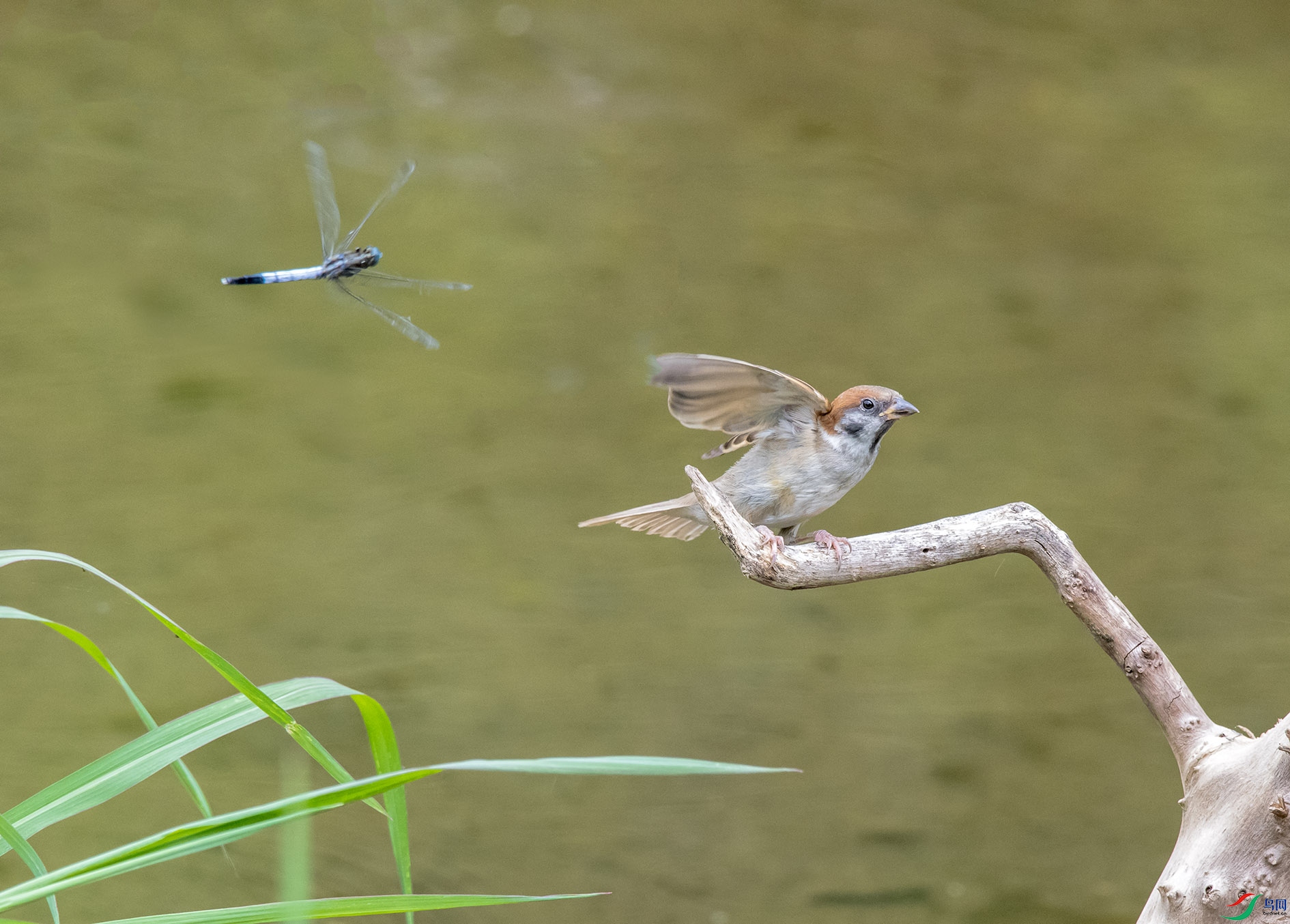 DSC_3814_��ͼ�� ����.jpg