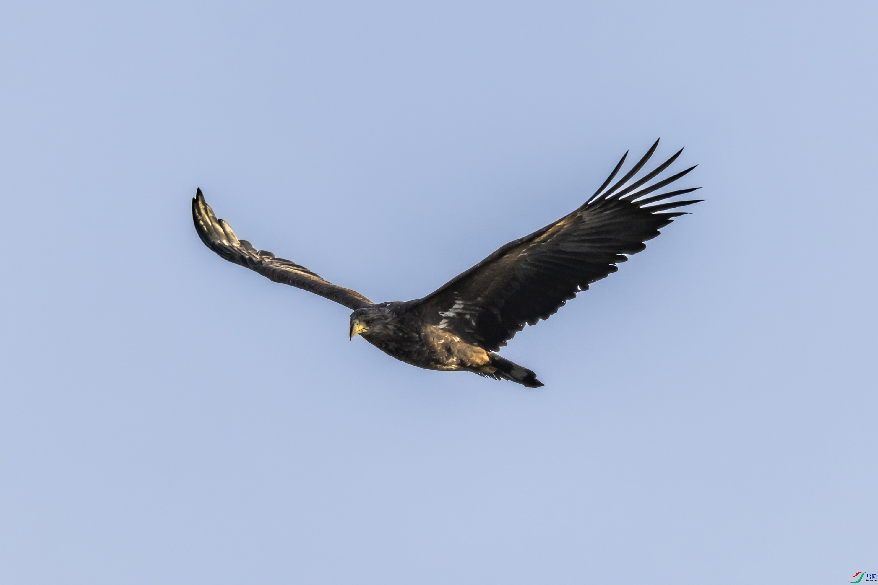 4K2A6305 ��β����.jpg