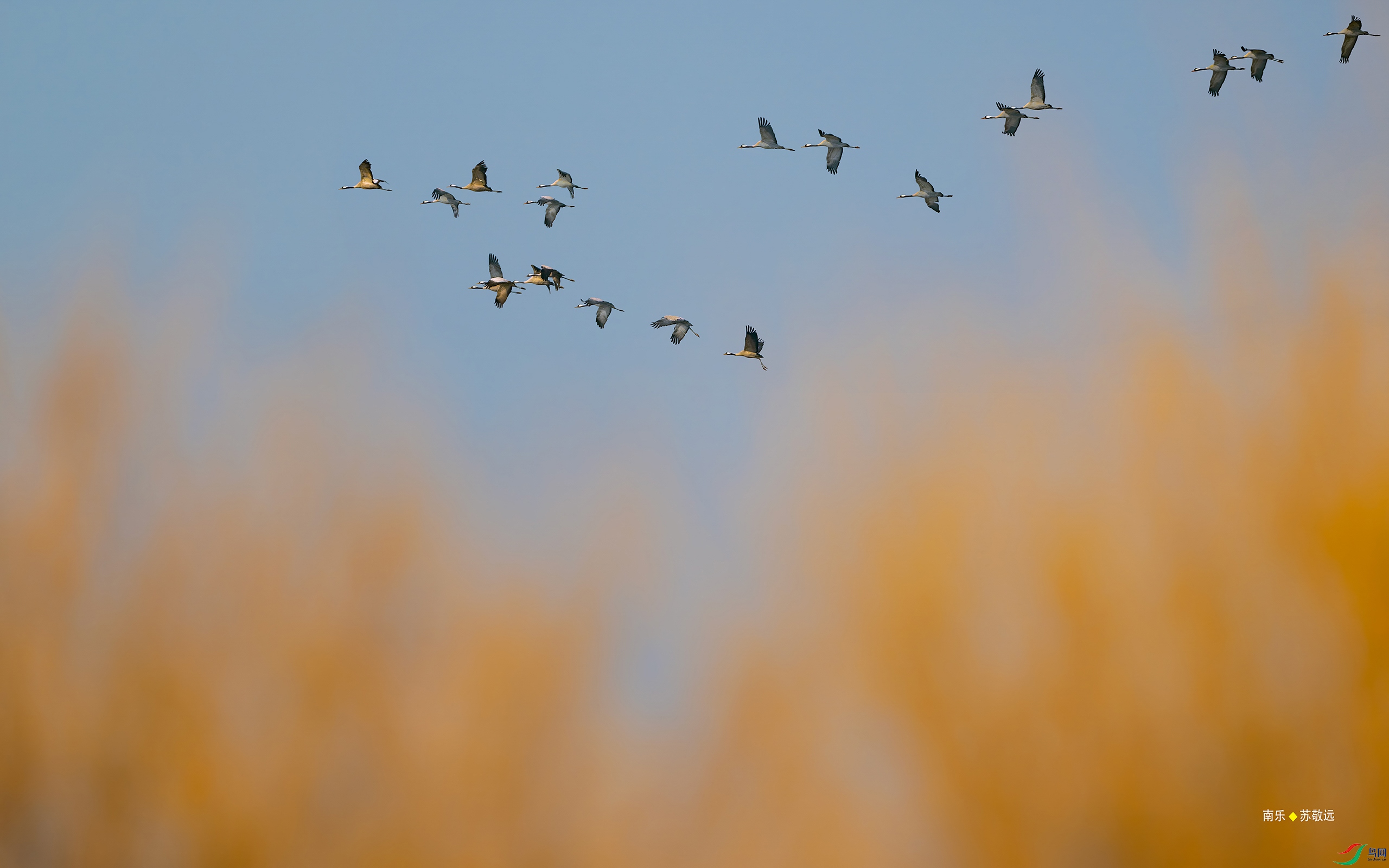 _DSC2302-DxO_С.jpg