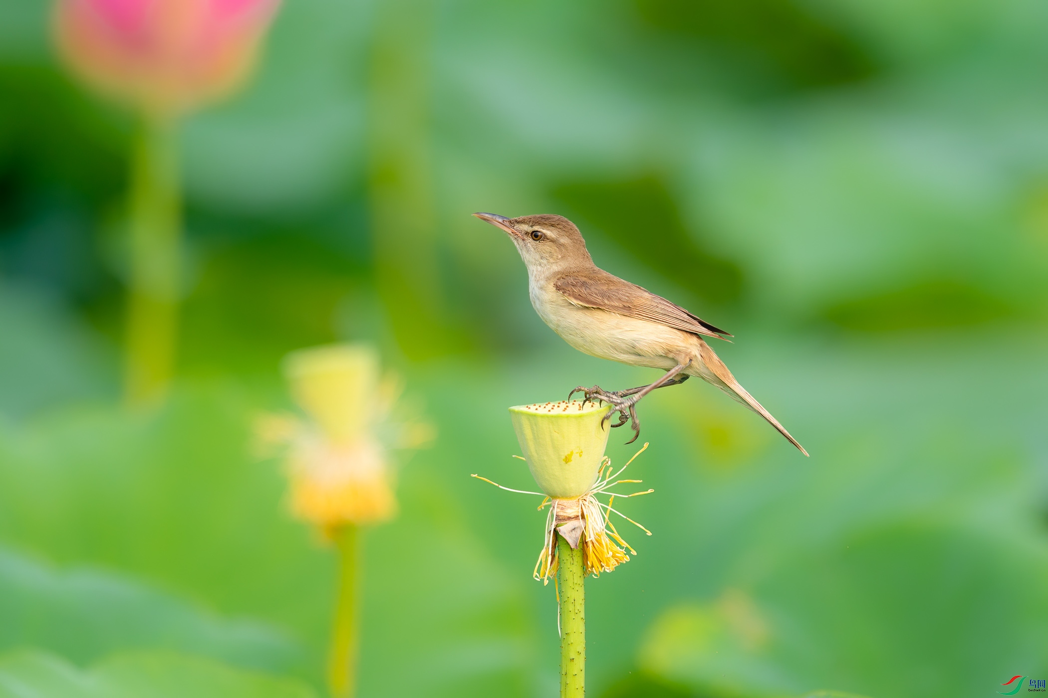 sen2016 7-7-13-�༭-2.jpg