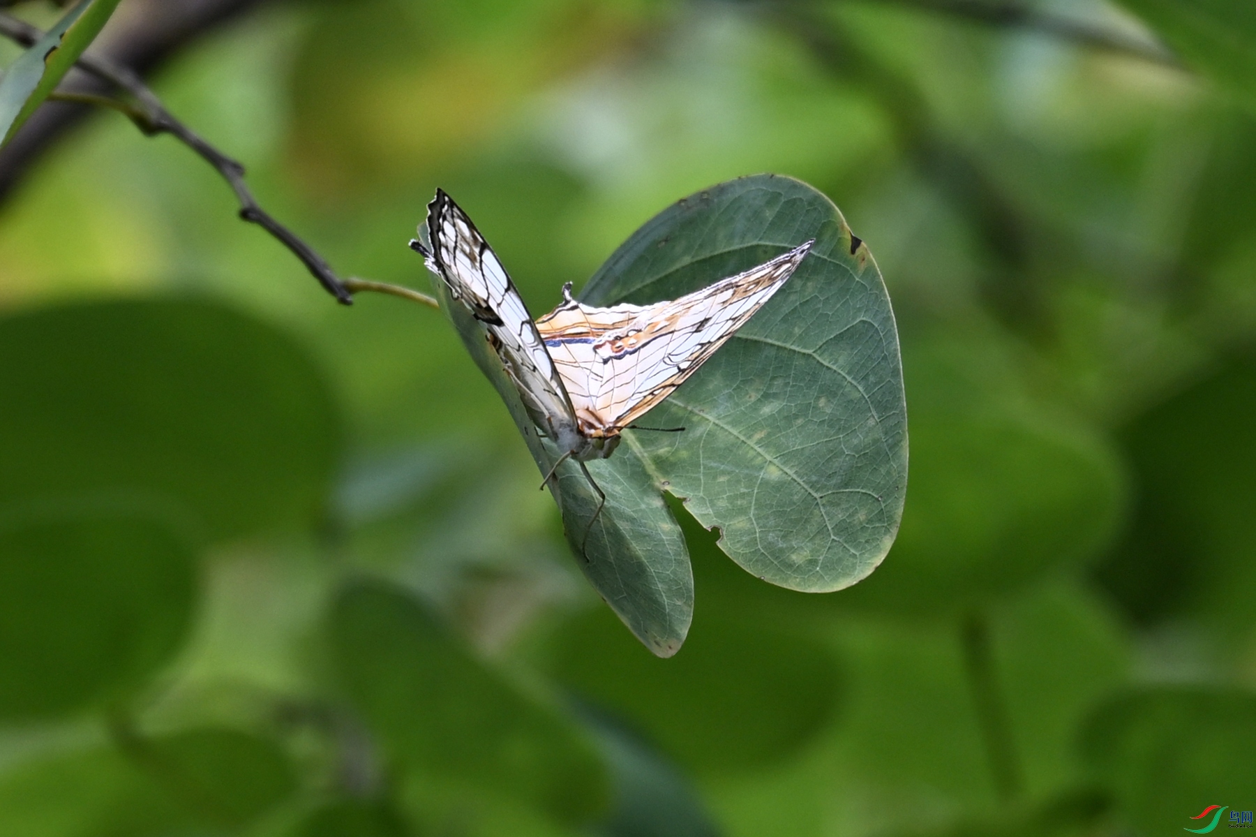 DSC_2275.JPG