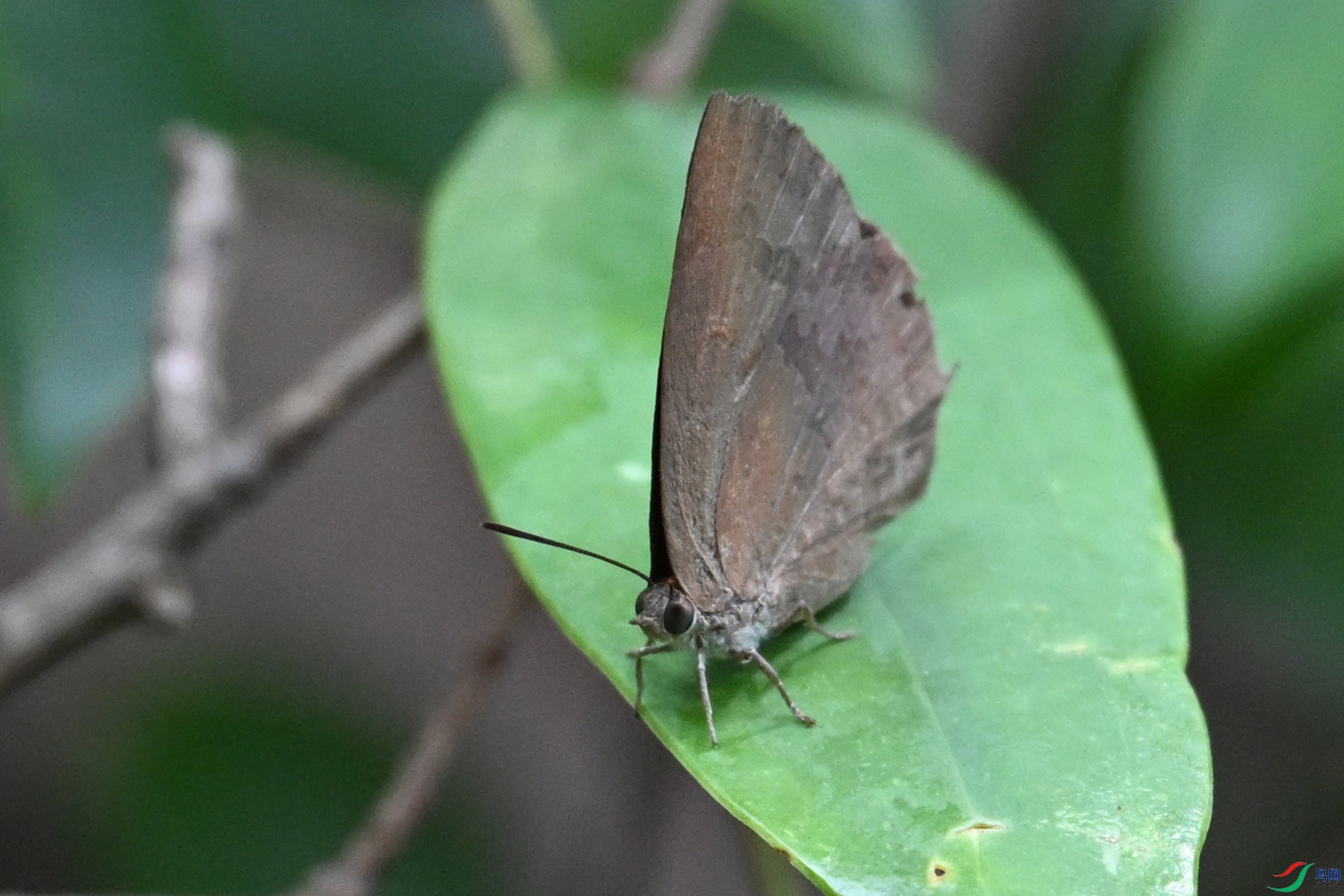 DSC_2304.JPG