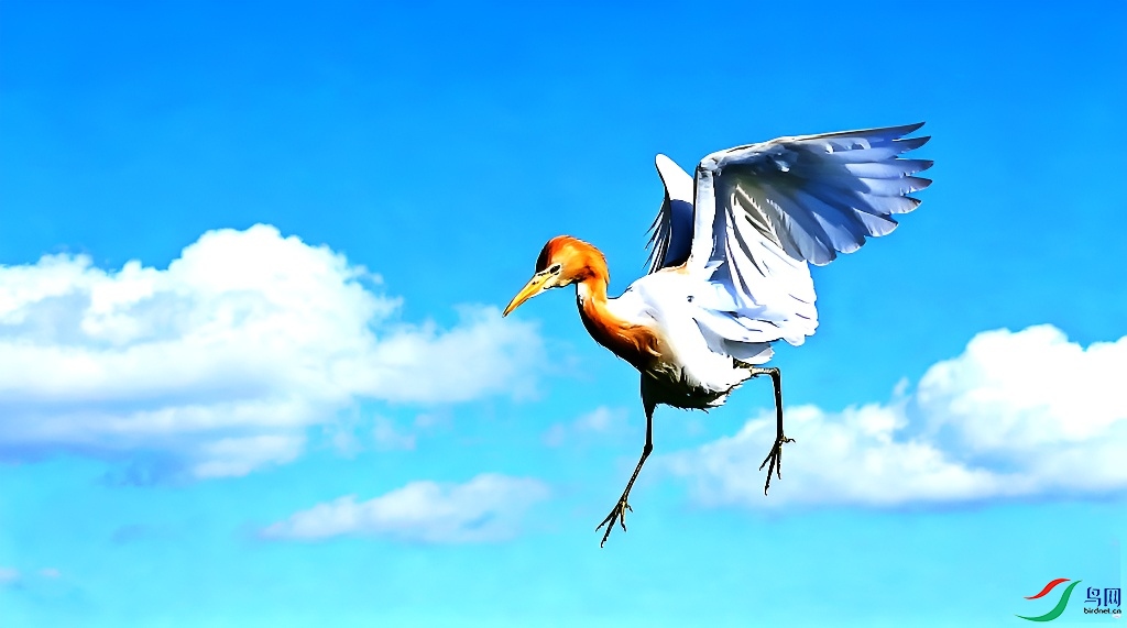 IMG_20260711_205414.png