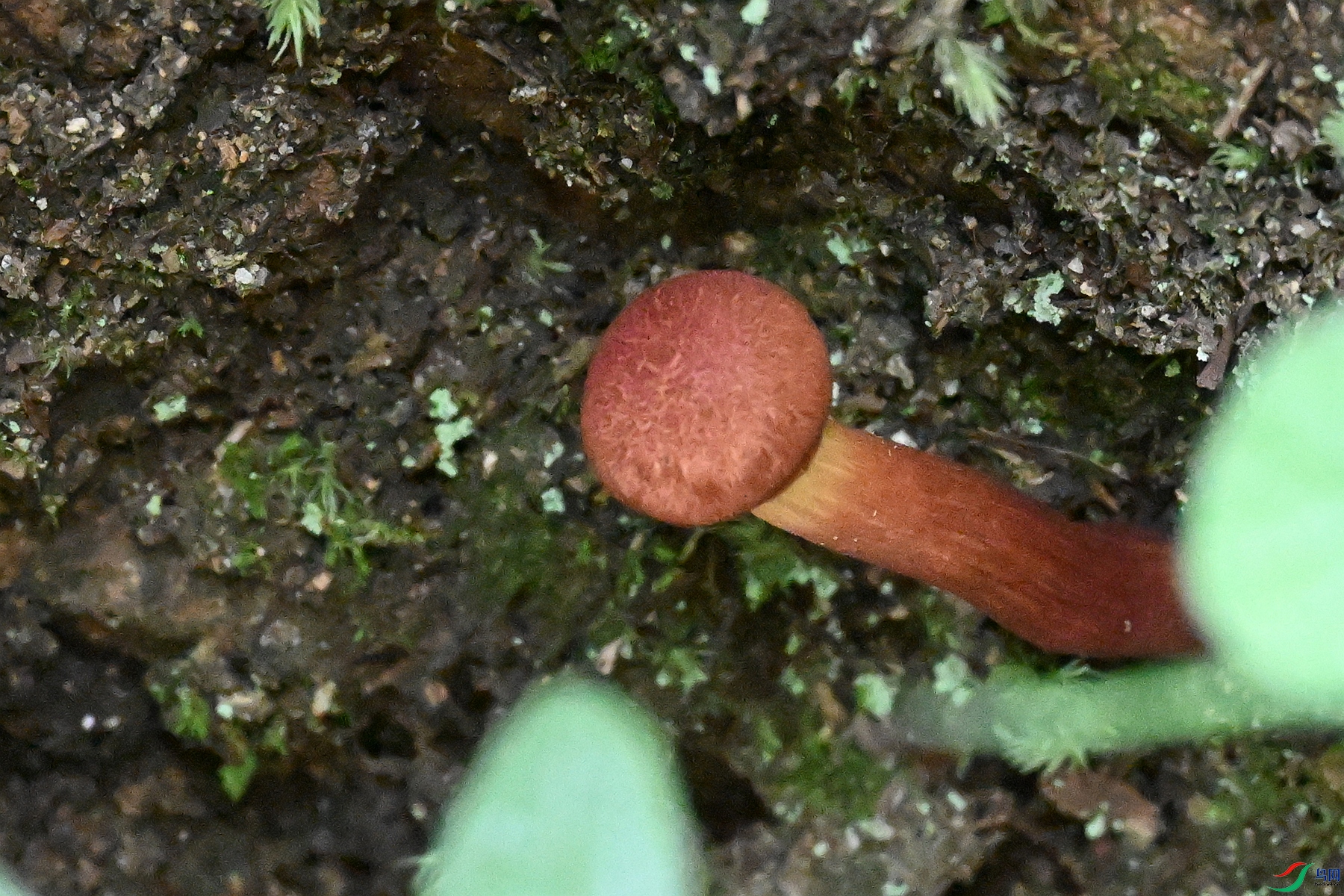 DSC_2308.JPG