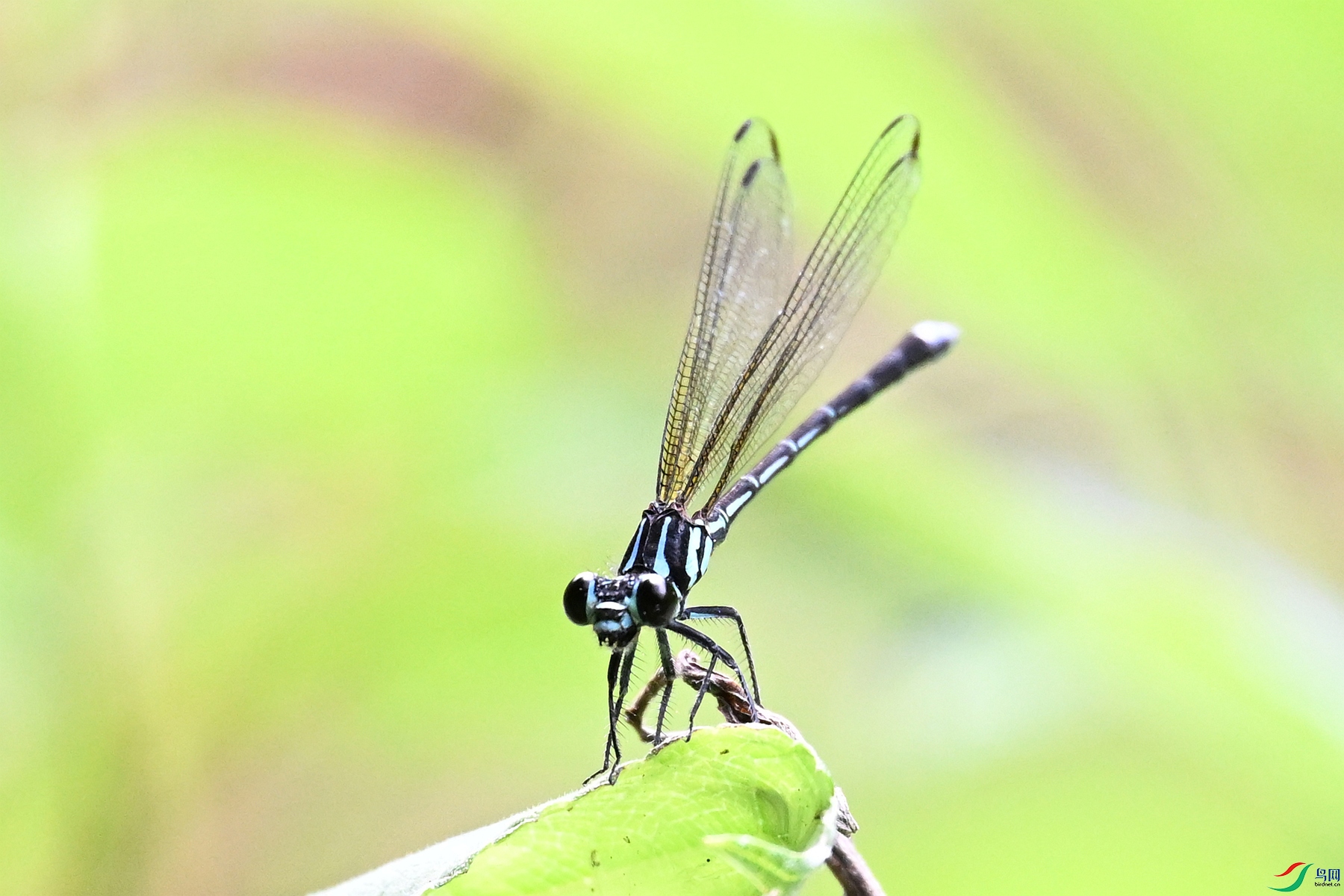 DSC_2347.JPG