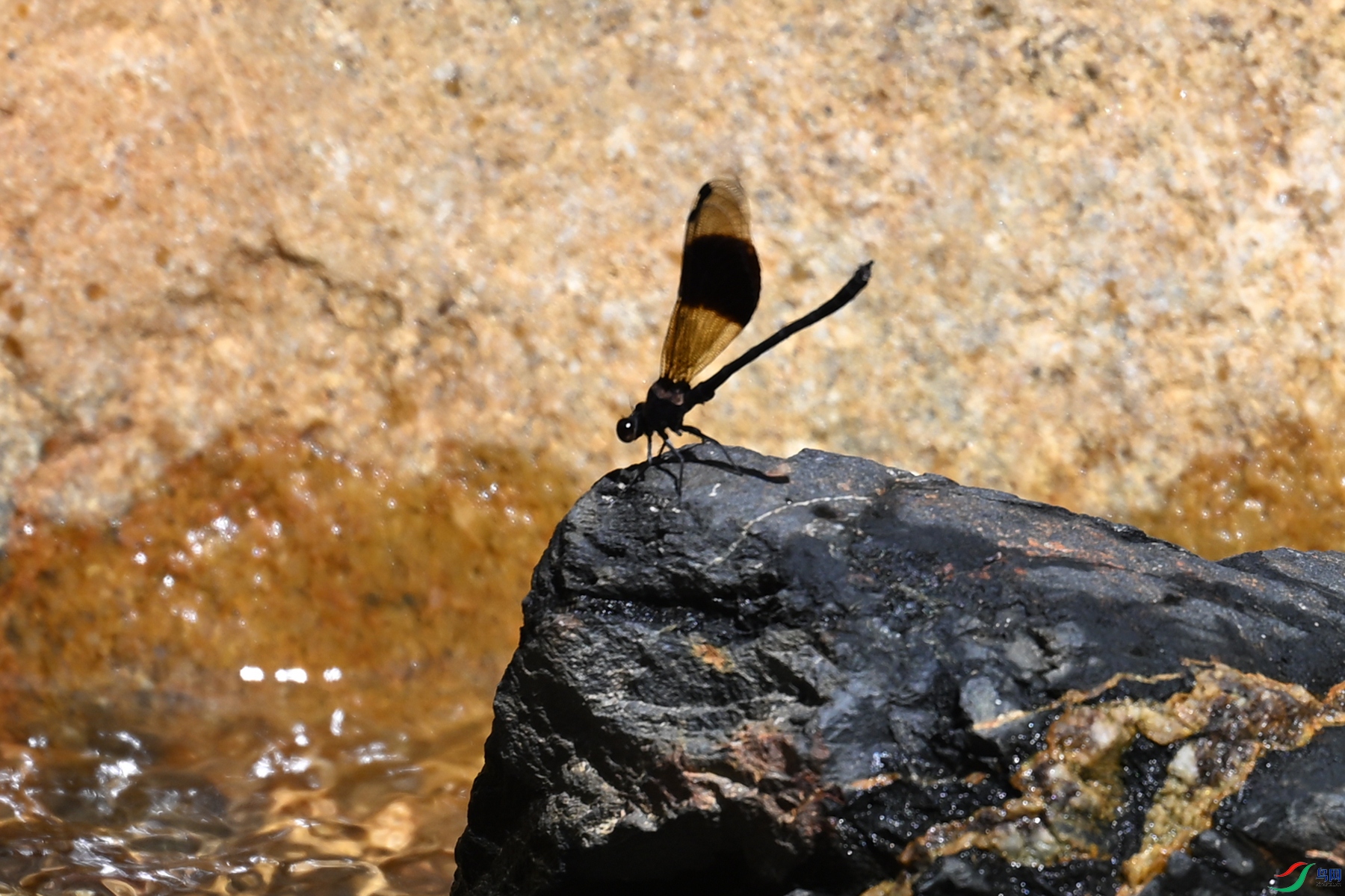 DSC_2231.JPG