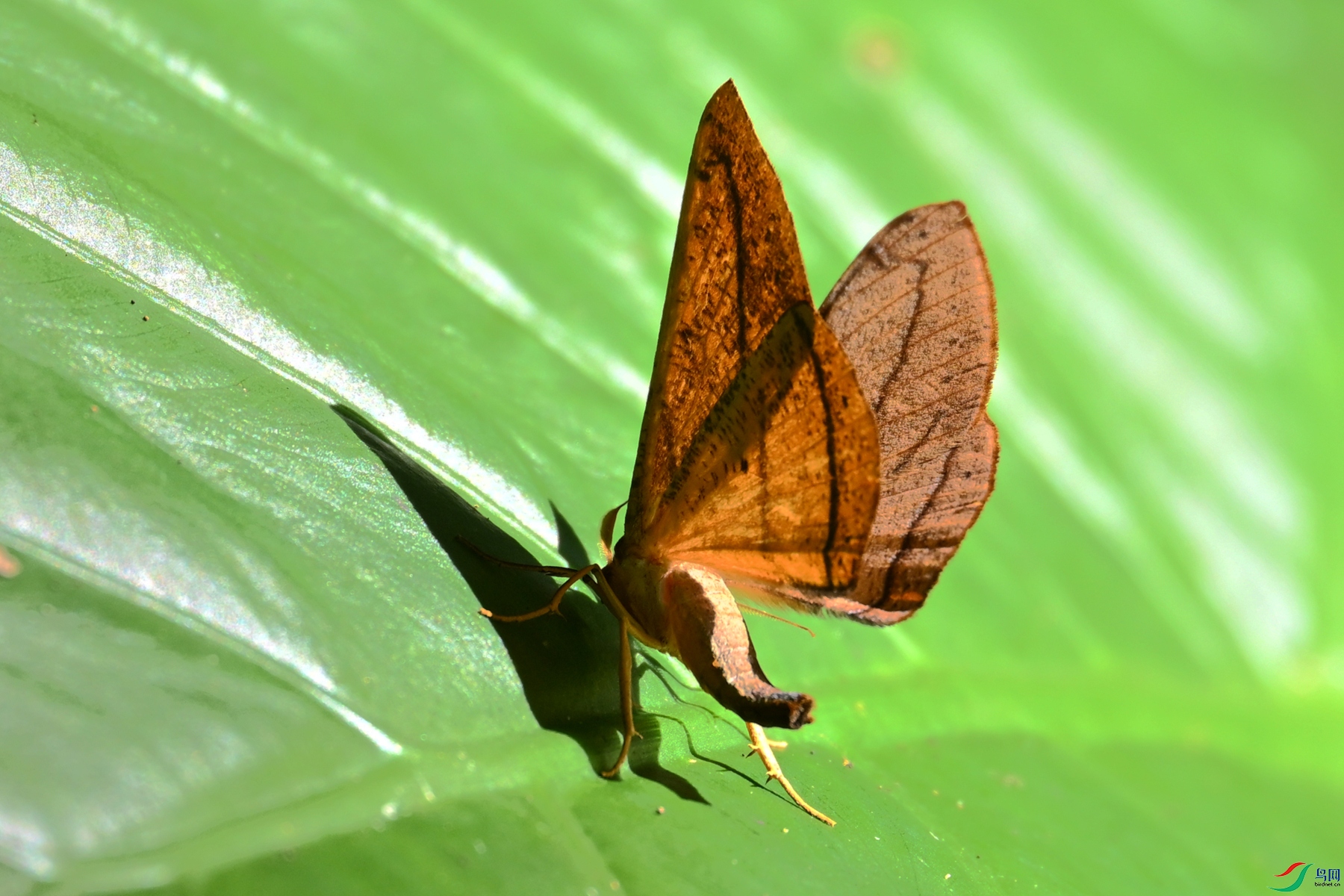 DSC_2221.JPG