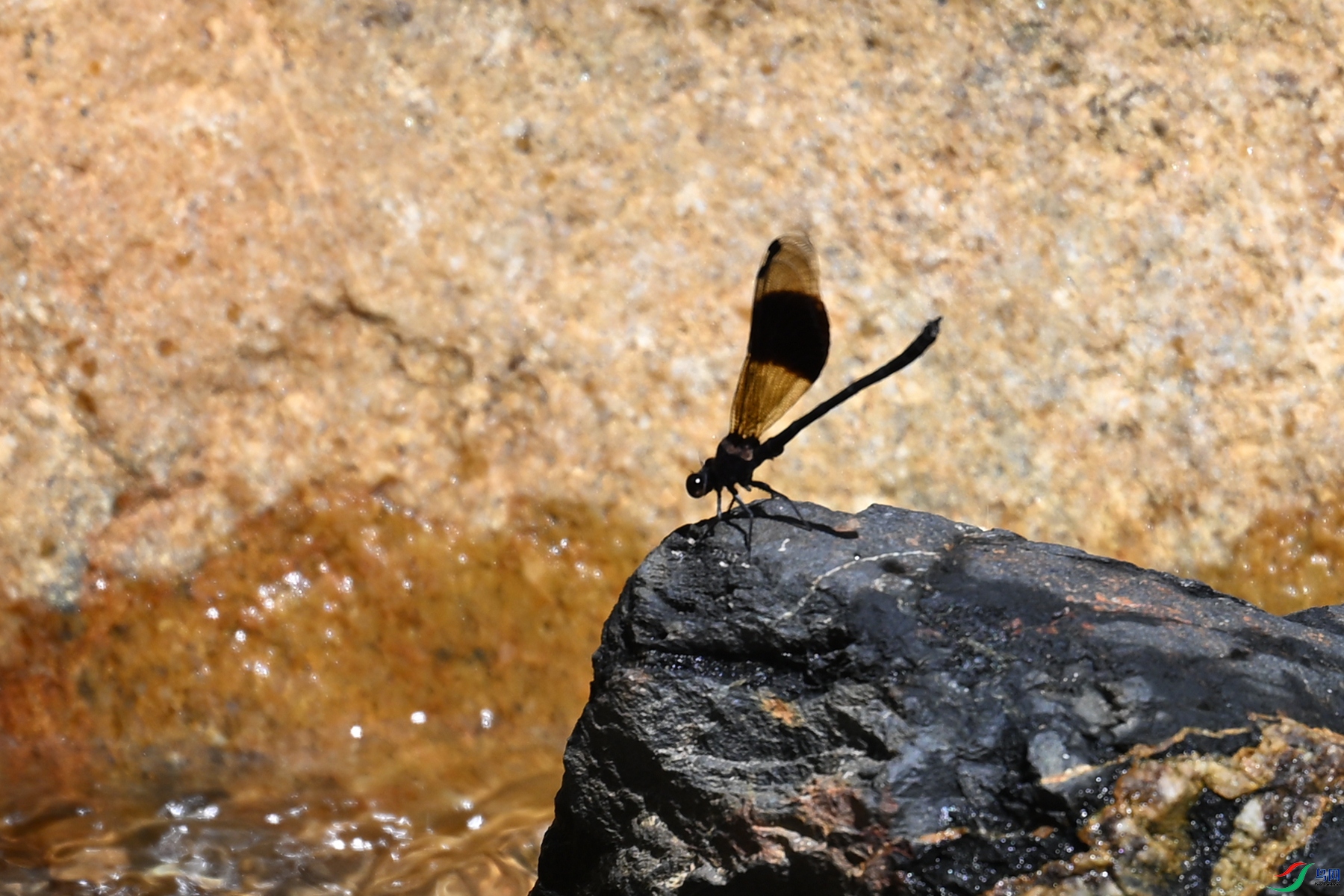 DSC_2232.JPG