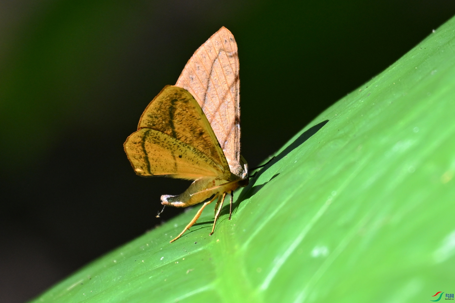DSC_2224.JPG