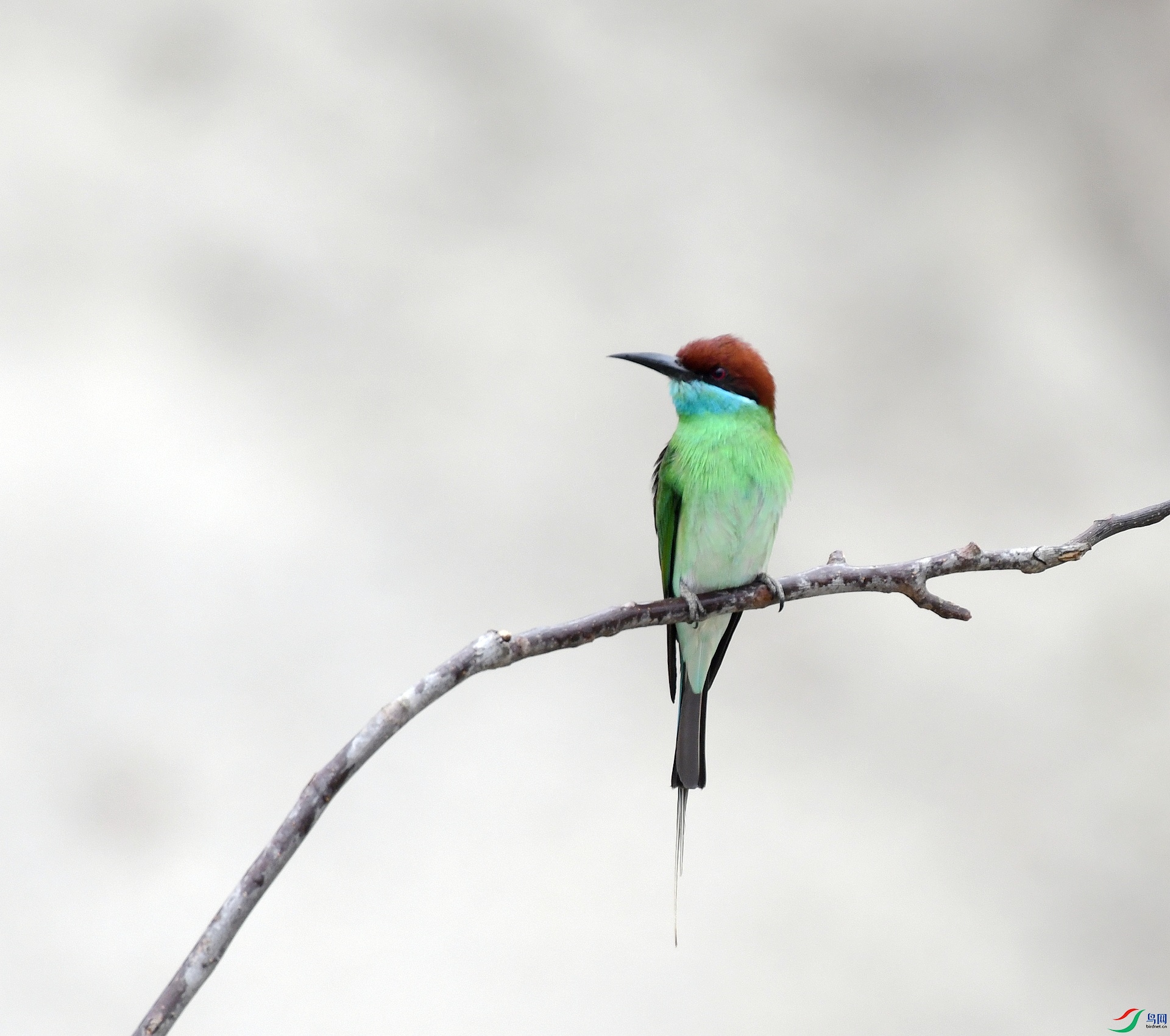 DSC_0712.jpg