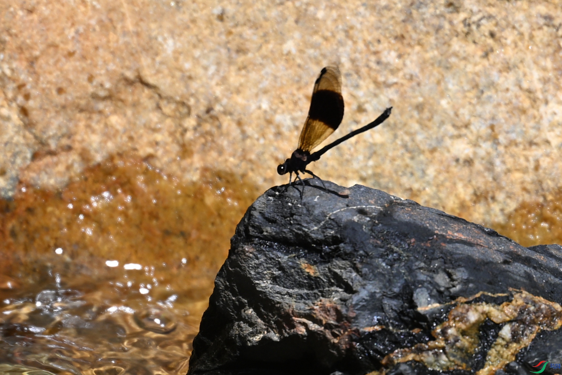 DSC_2233.JPG