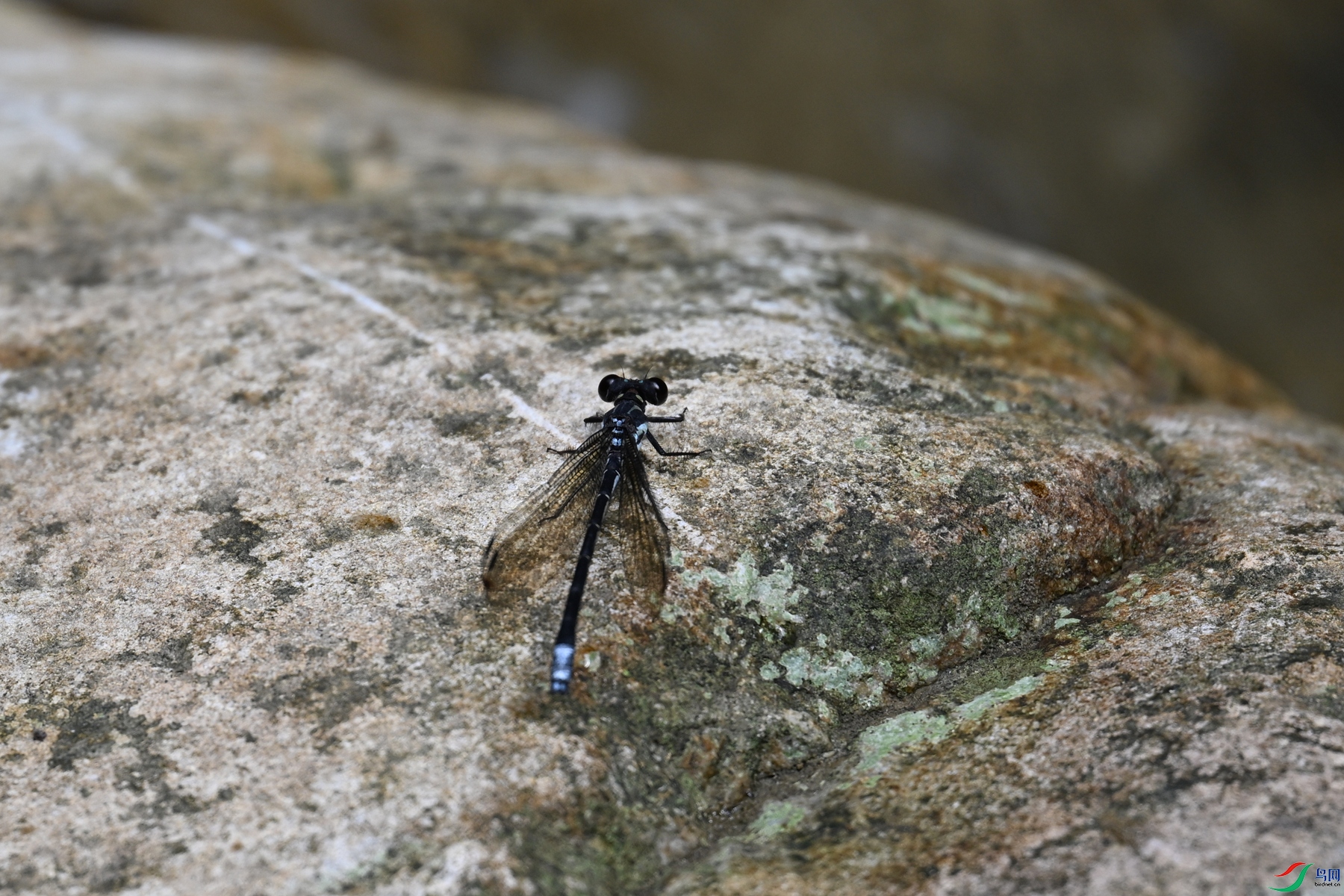 DSC_2266.JPG