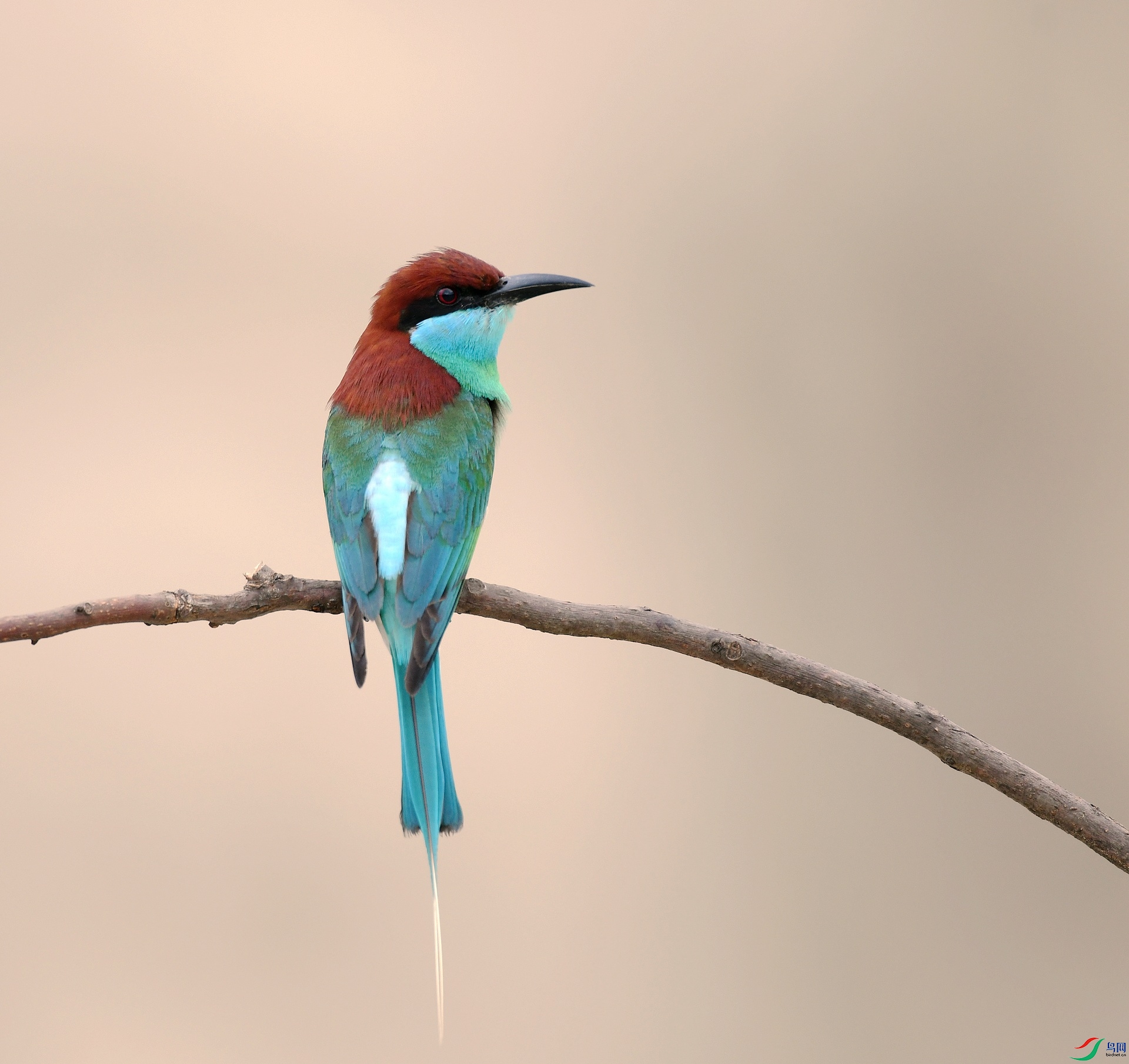 DSC_1097.jpg