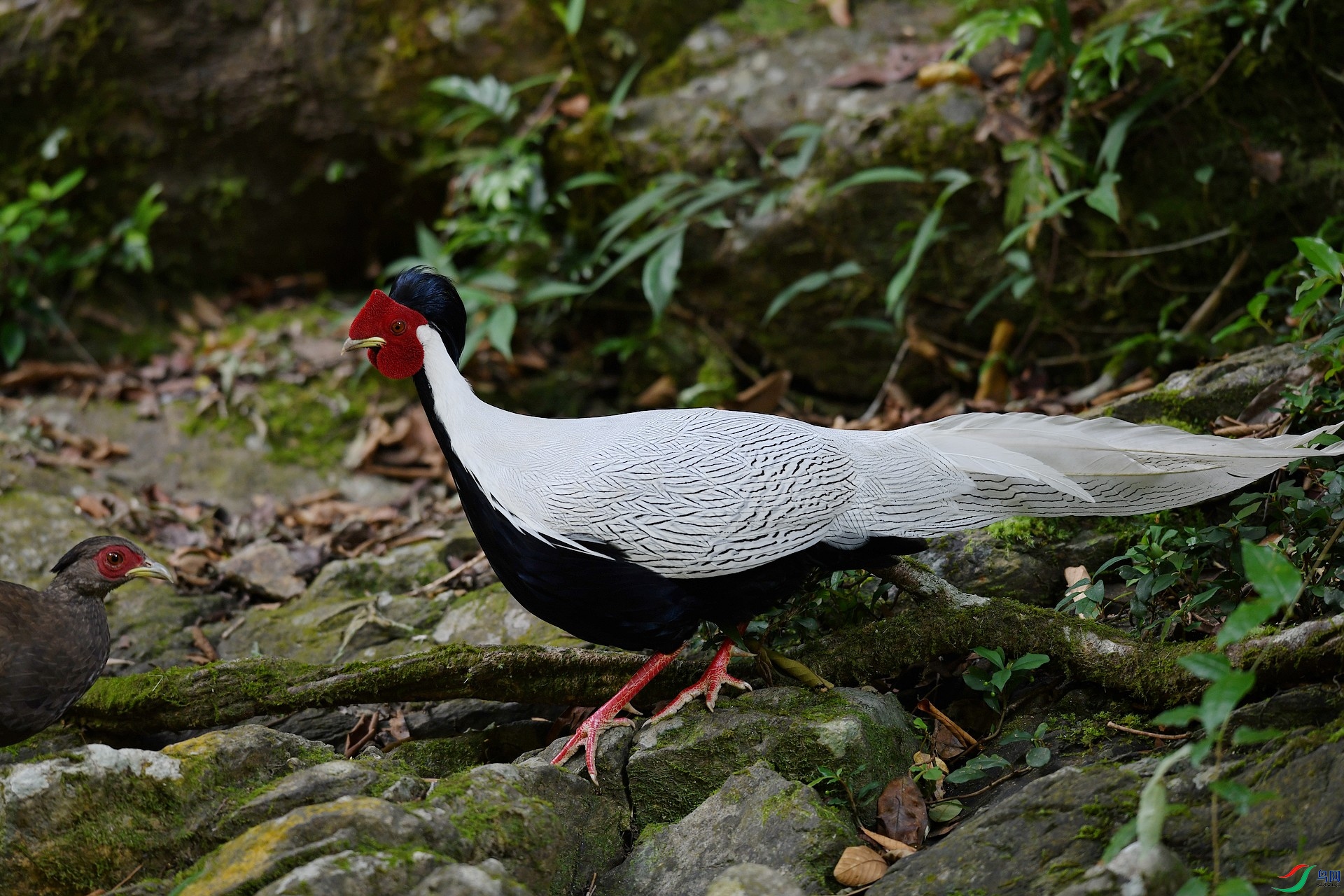 DSC_9231.jpg