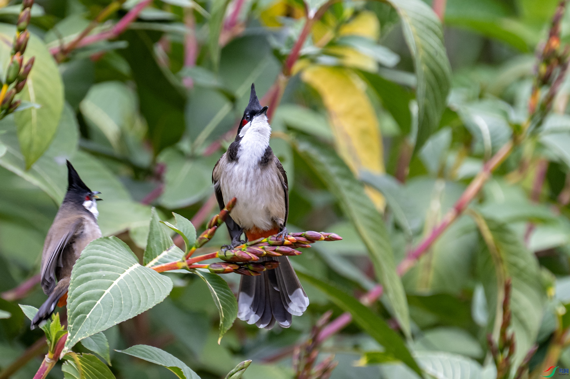DSC_8491.jpg
