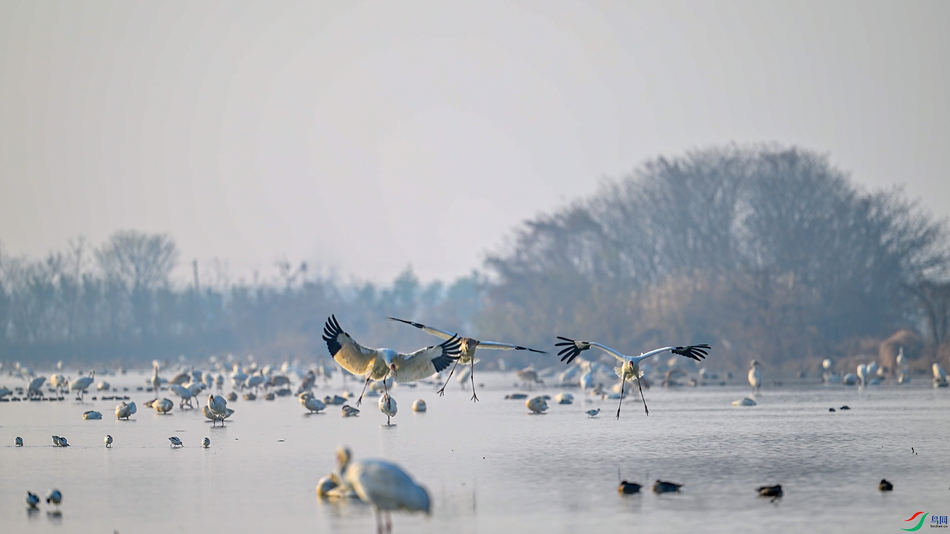 DSC_2848.jpg