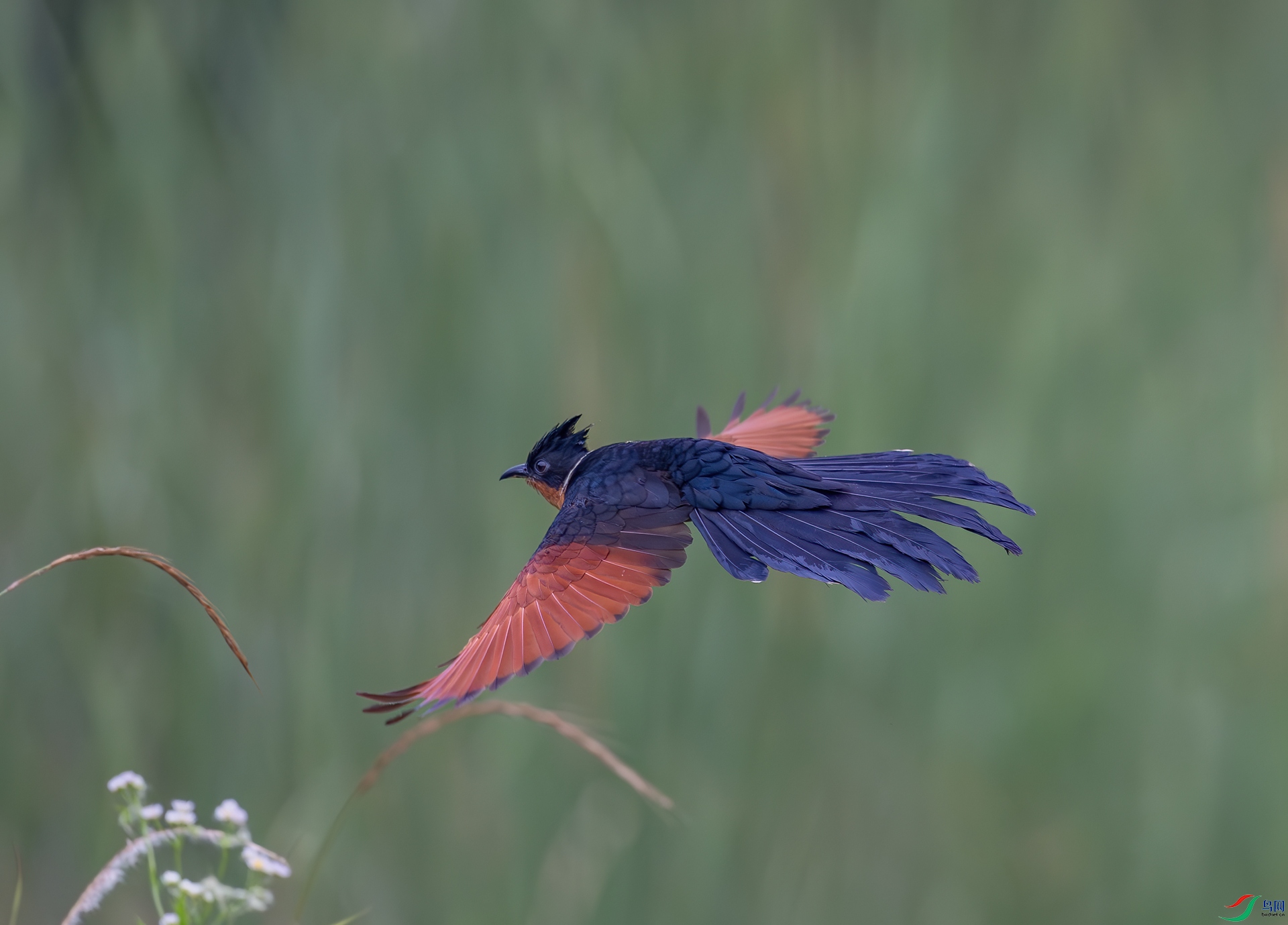 DSC_0197.jpg
