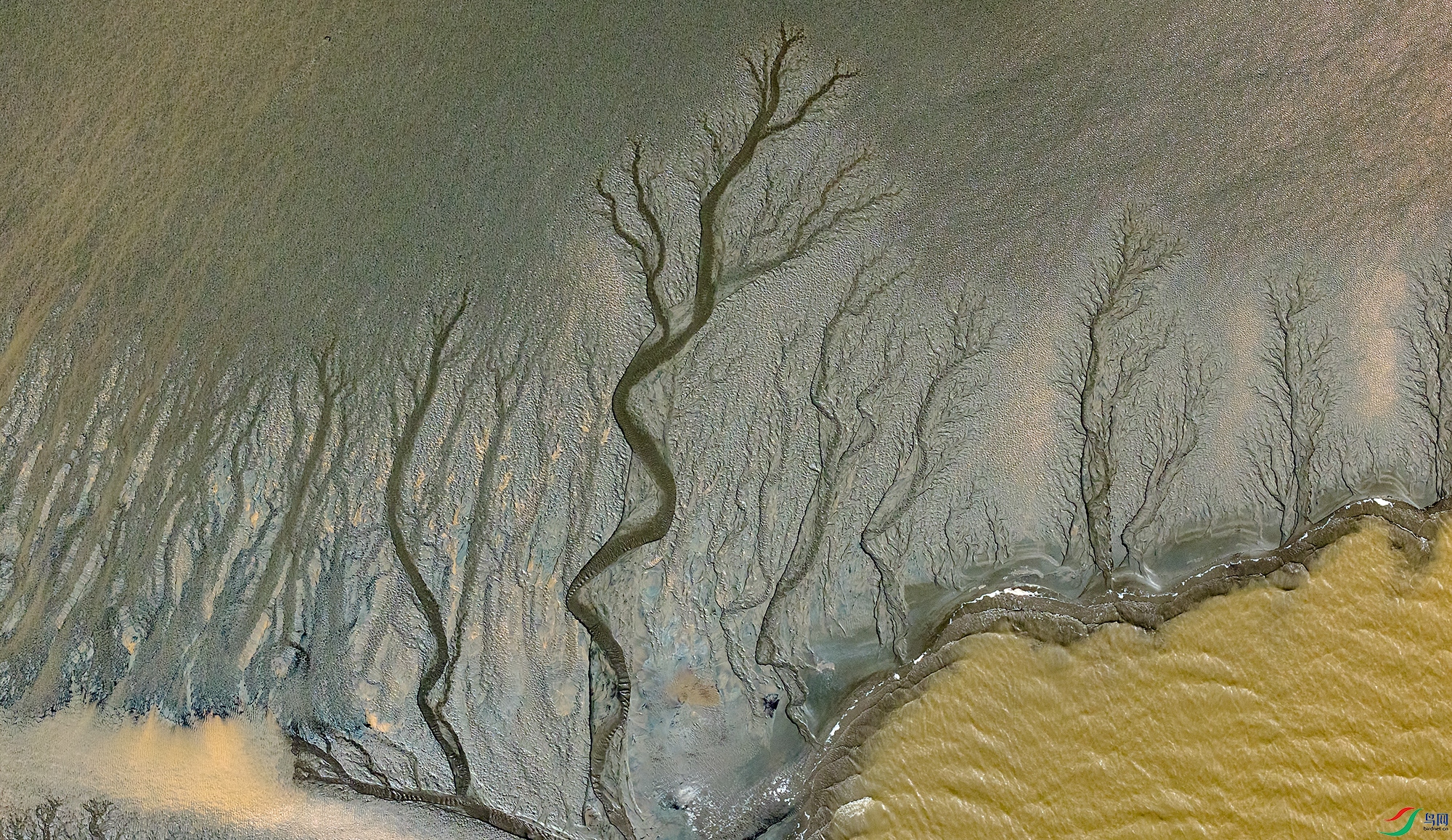 DJI_20250910093256_0476_D ����a.jpg