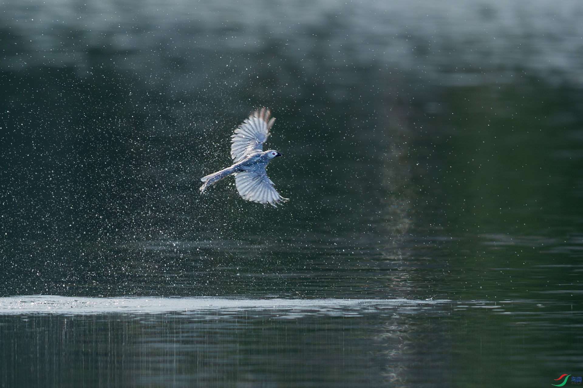 DSC_3213.jpg