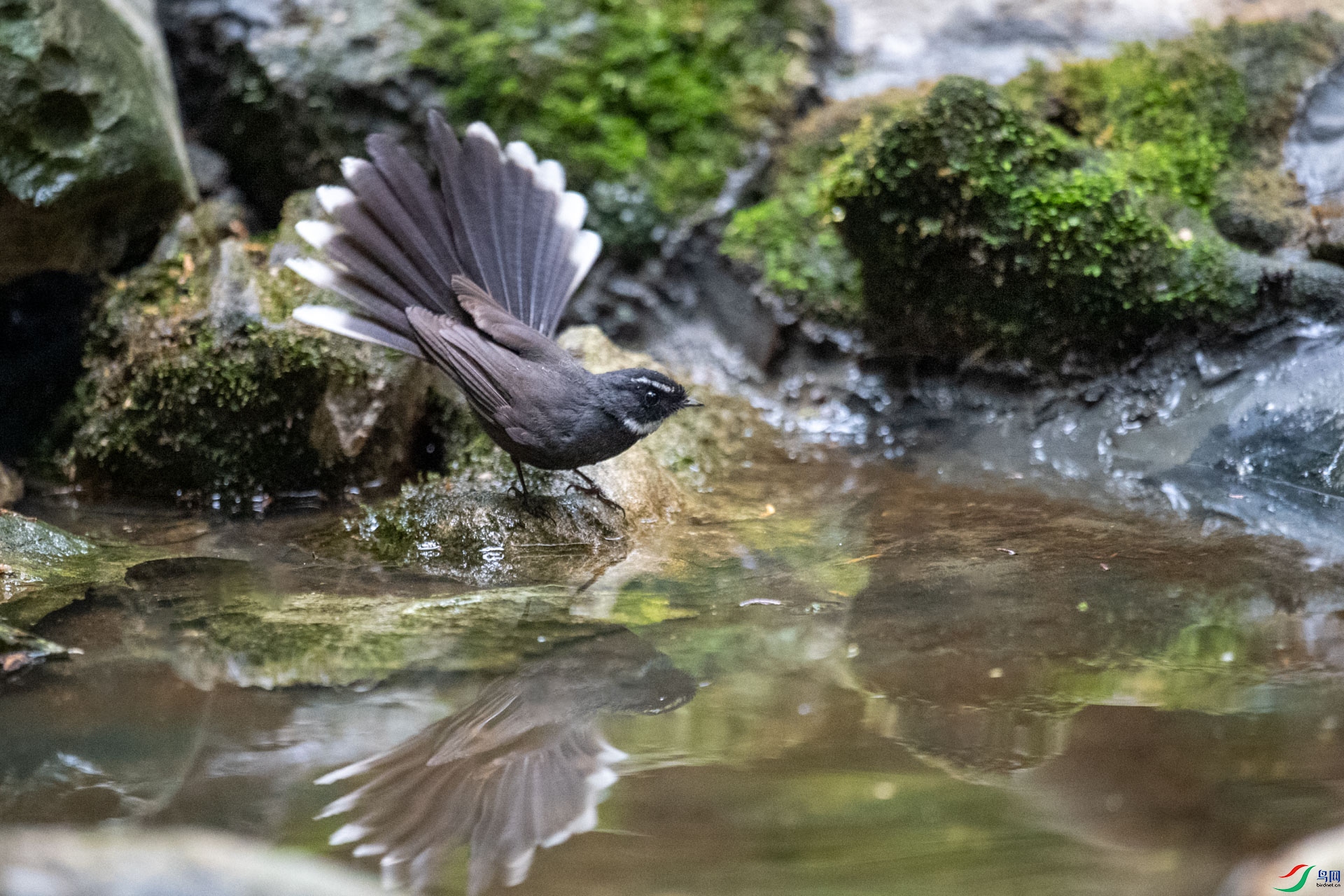DSC_0290.jpg