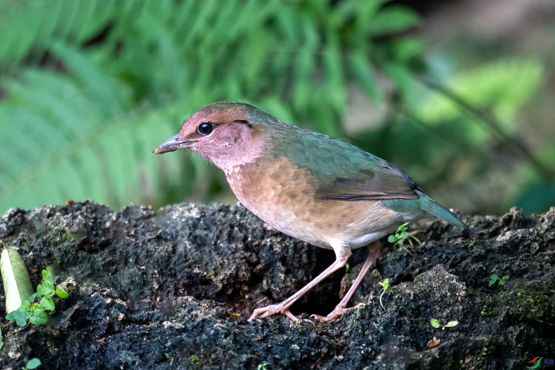 DSC_4173.jpg