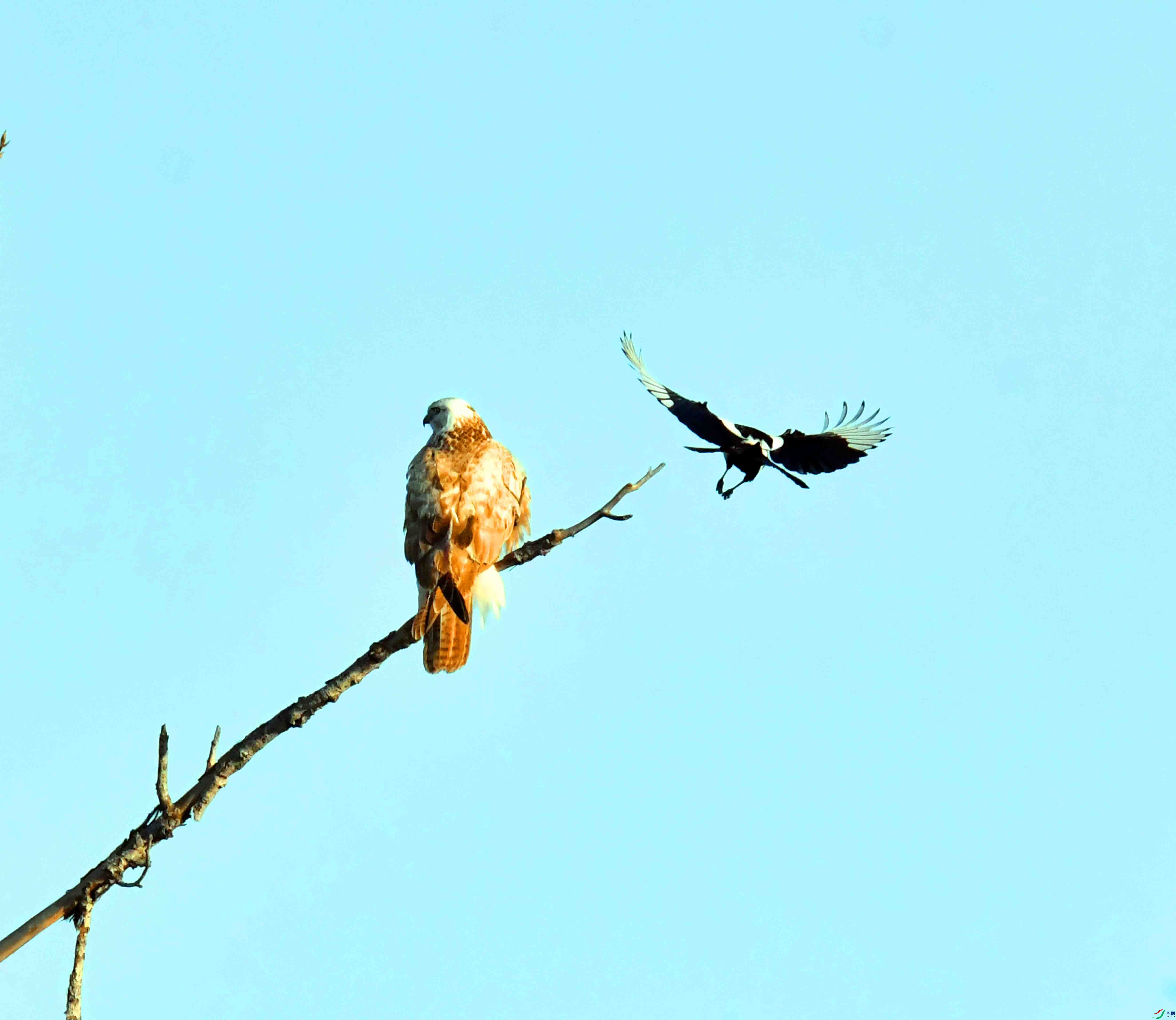 DSC_0414.JPG