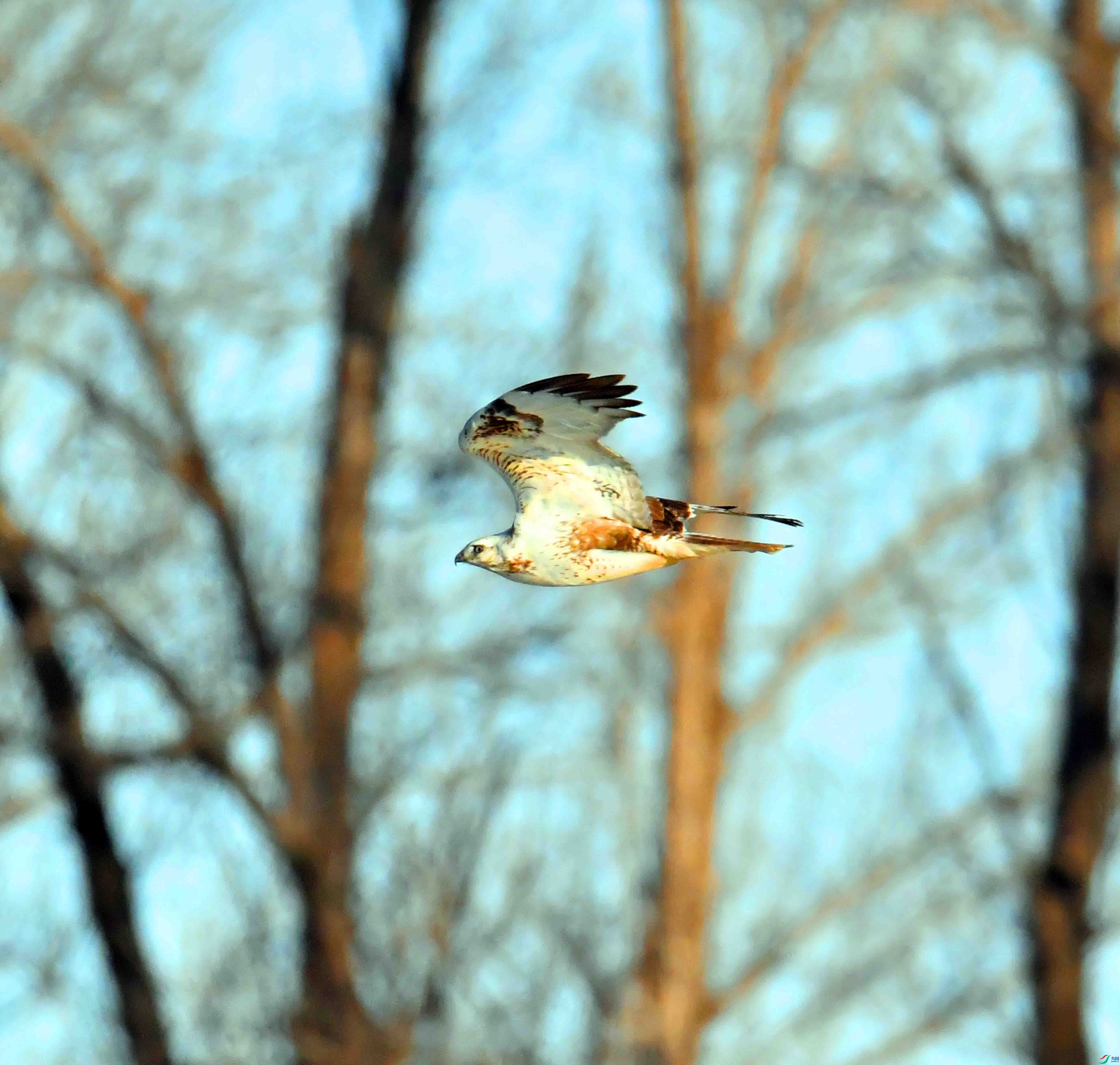 DSC_0461.JPG