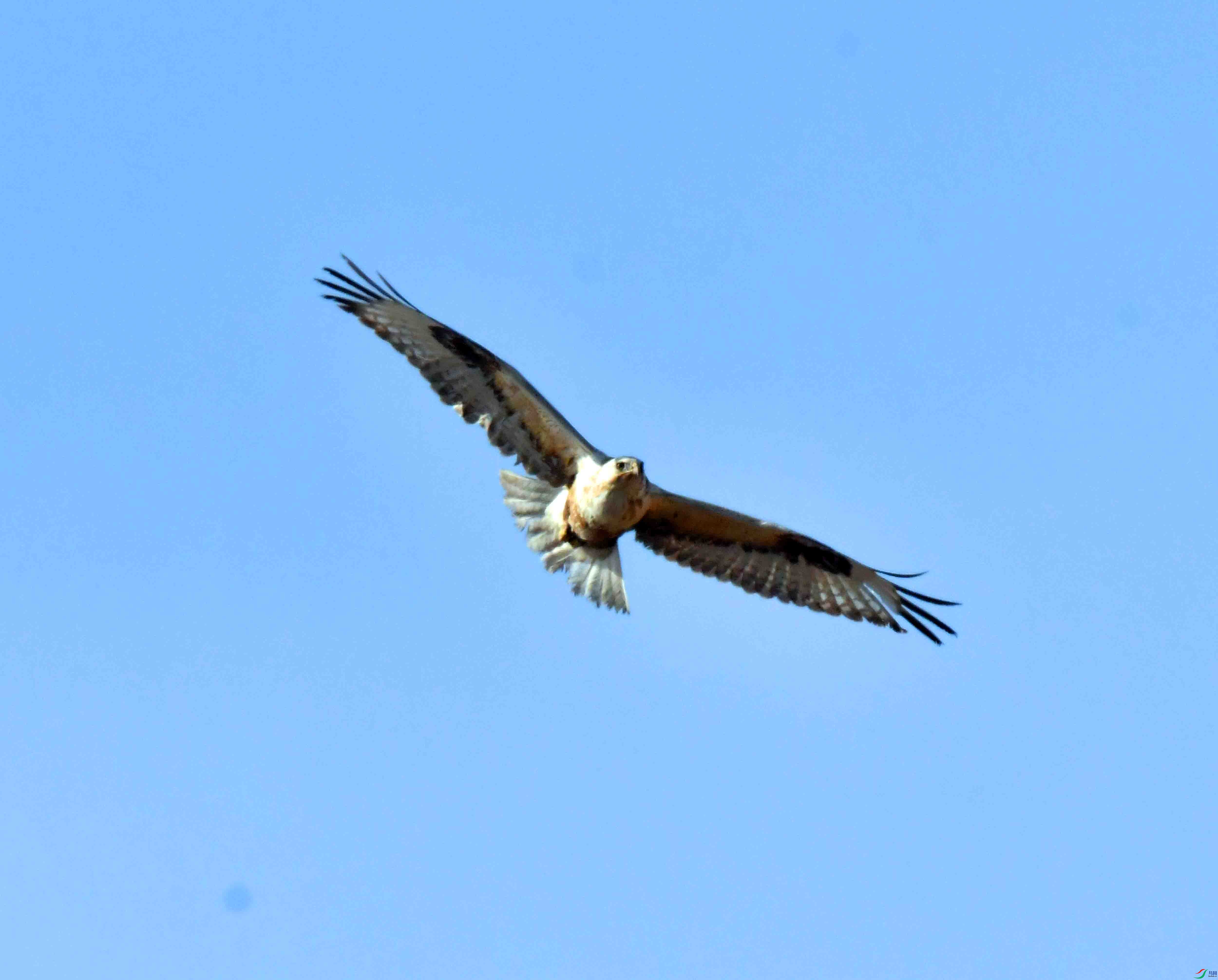 DSC_1797.JPG