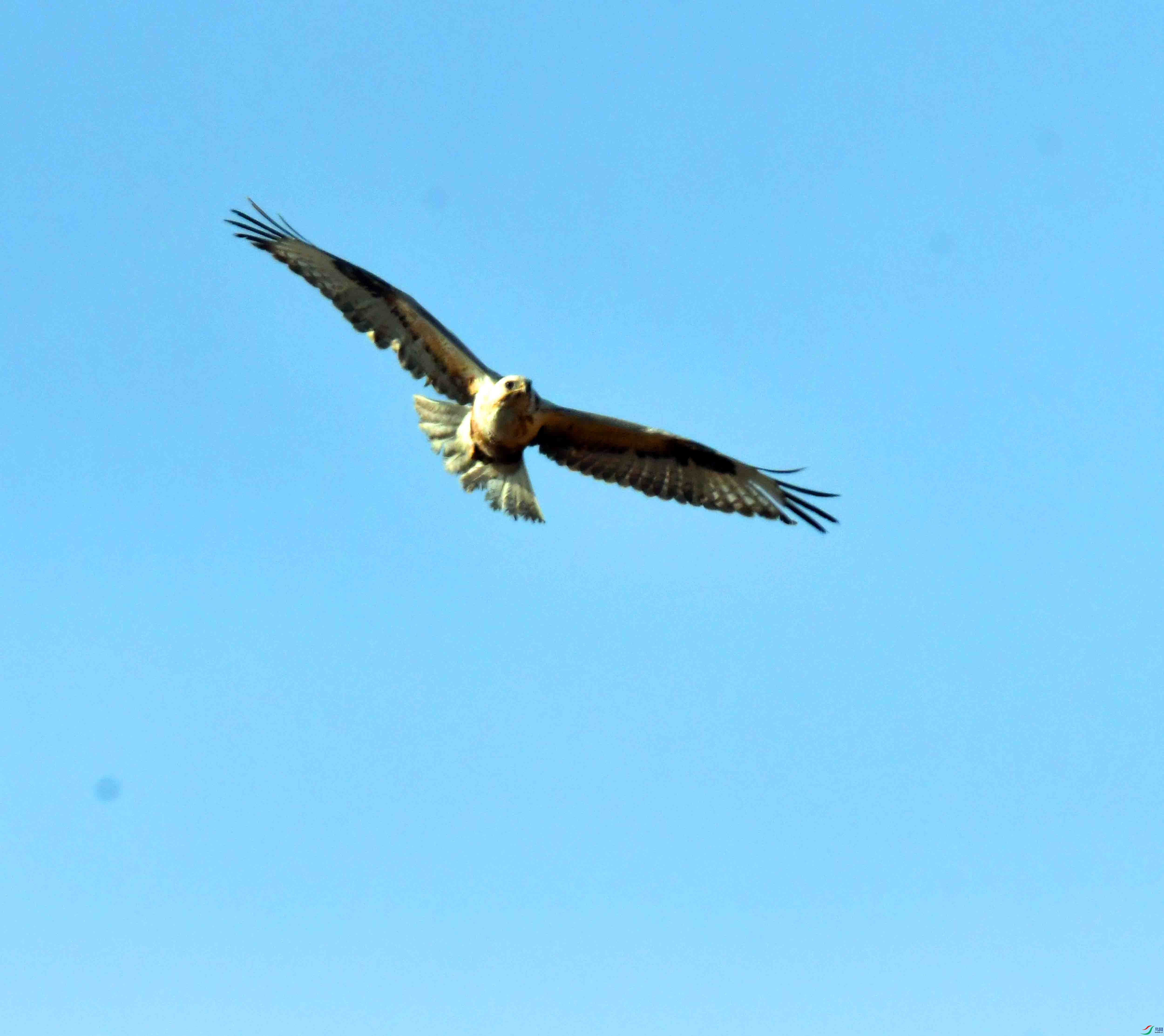 DSC_1796.JPG