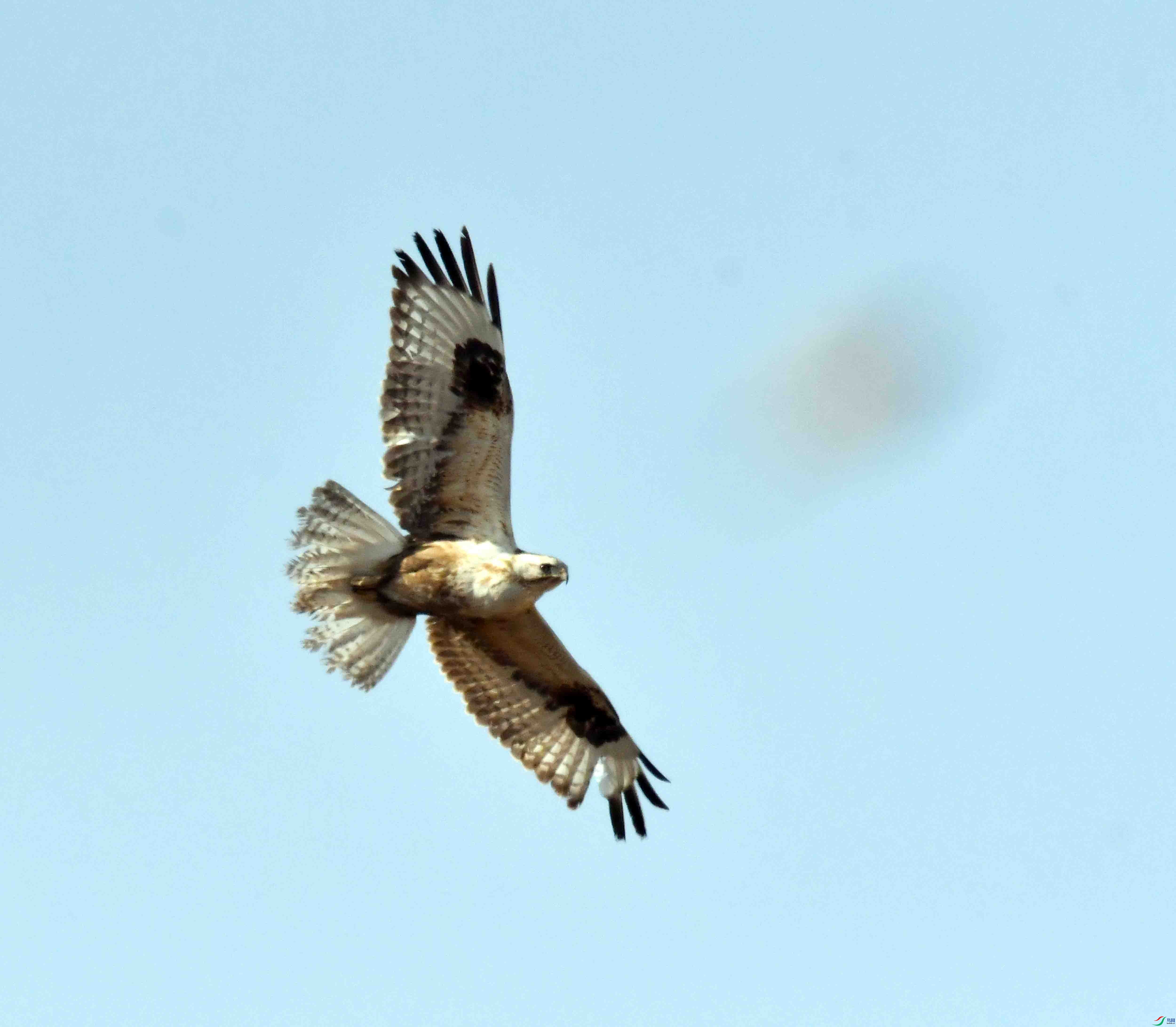DSC_1800.JPG
