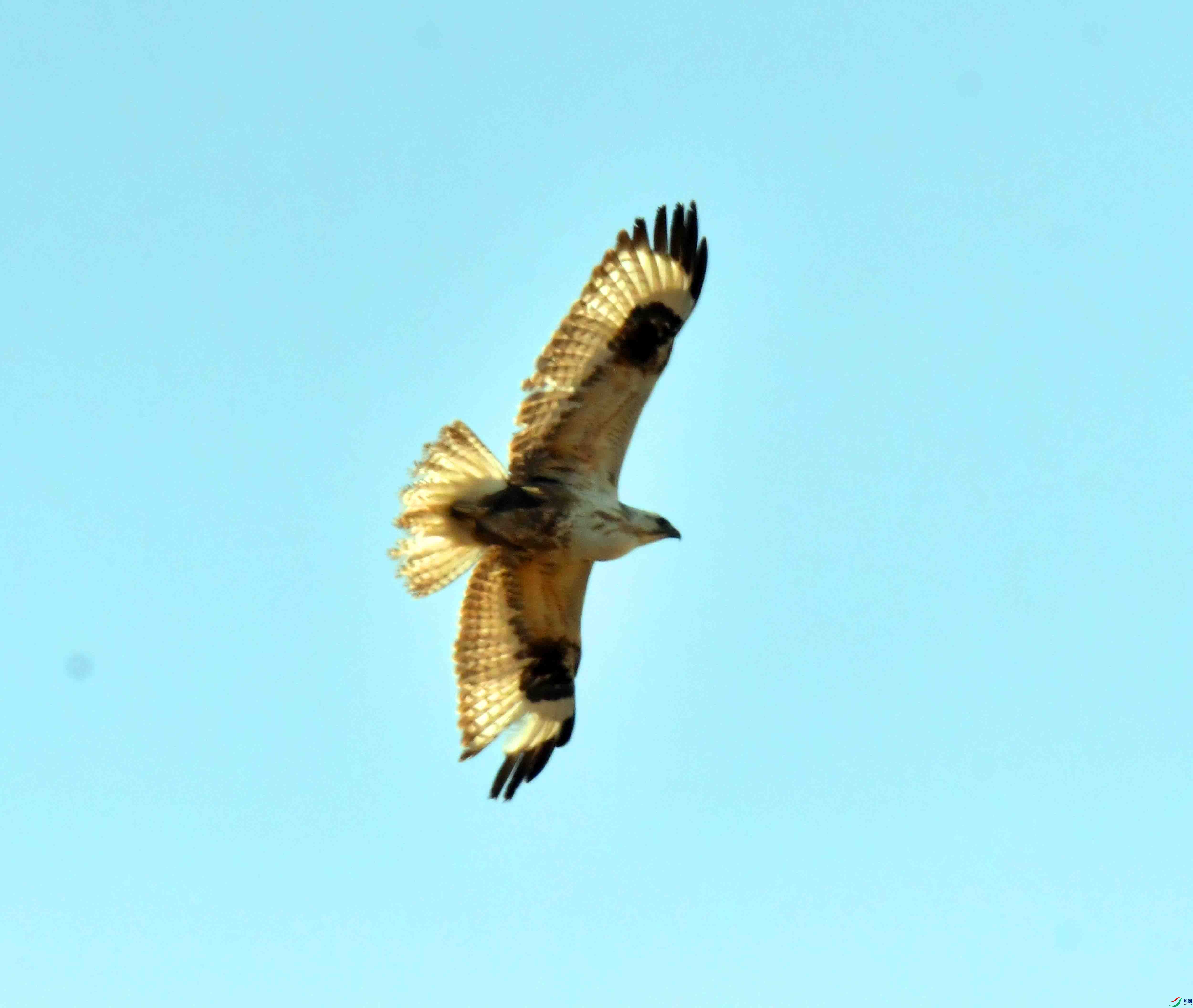DSC_1803.JPG