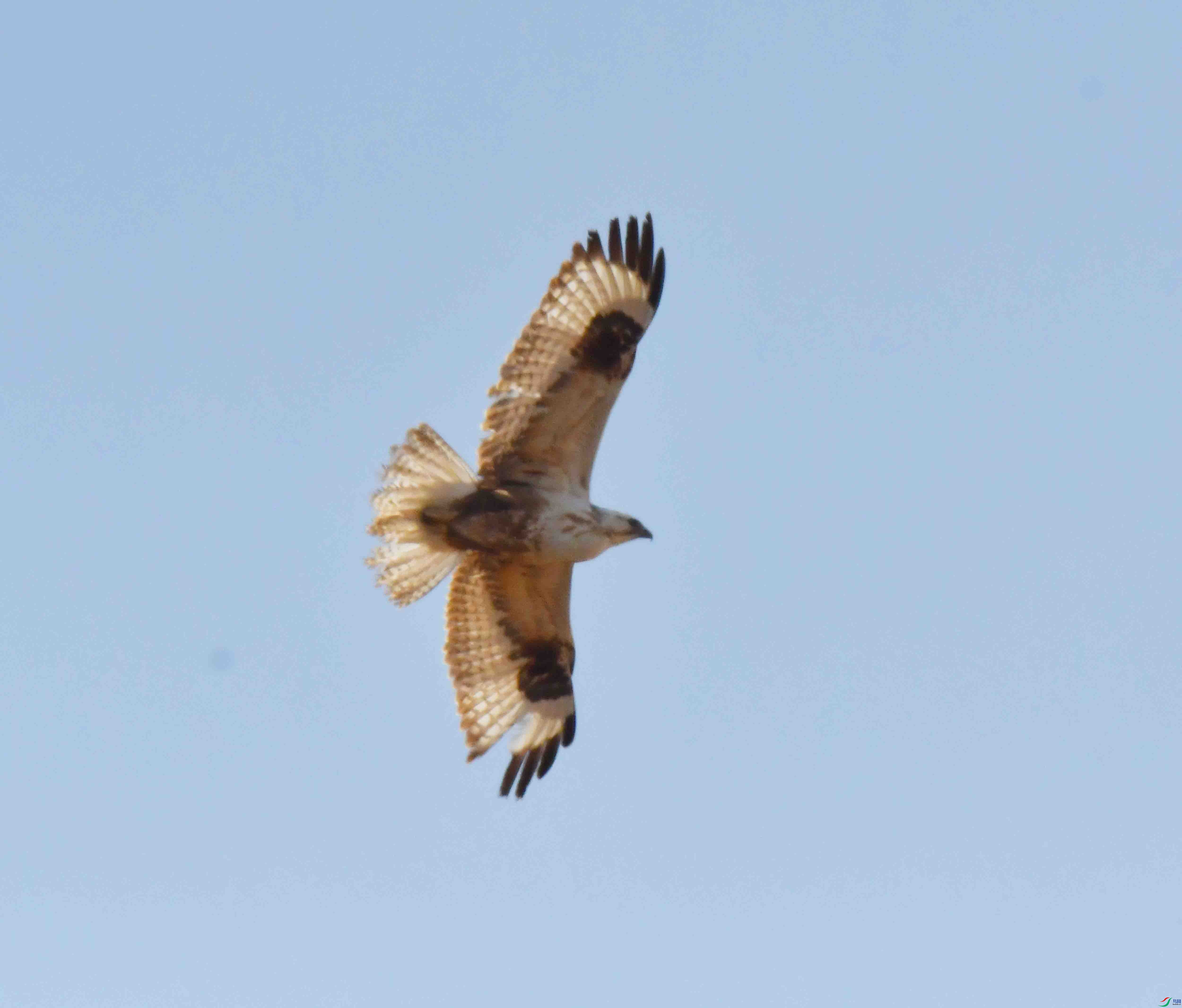 DSC_1802.JPG