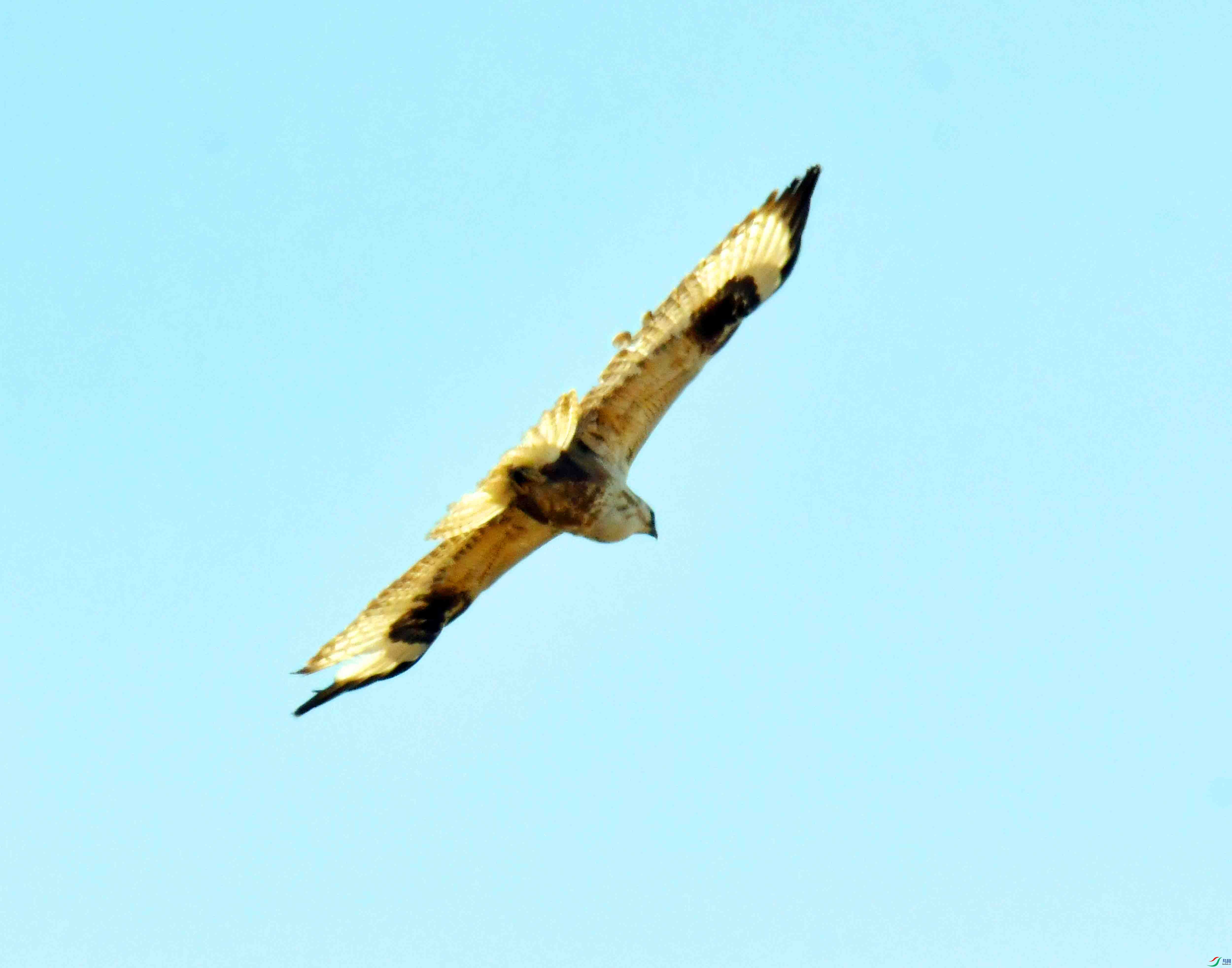 DSC_1804.JPG