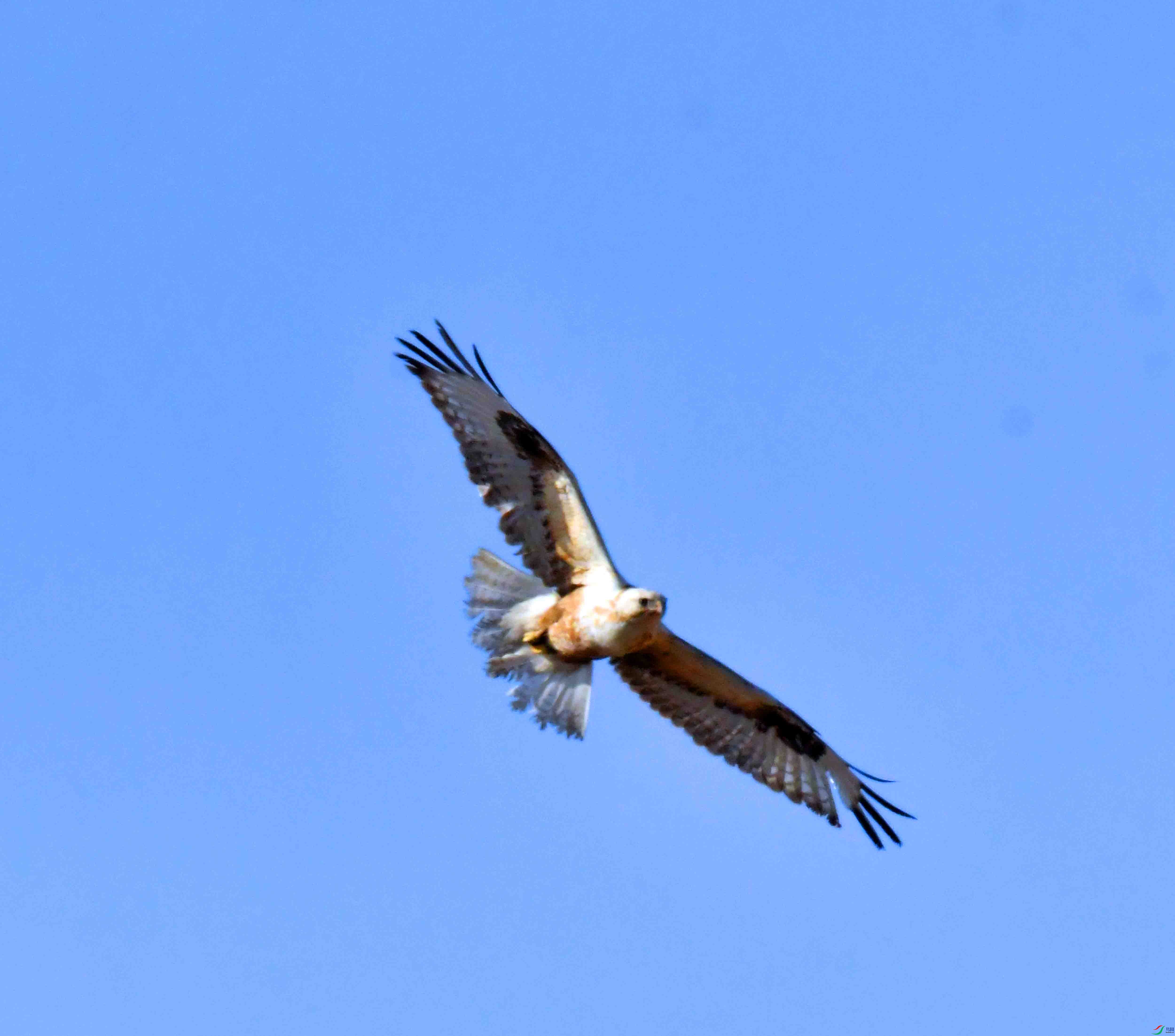 DSC_1815.JPG