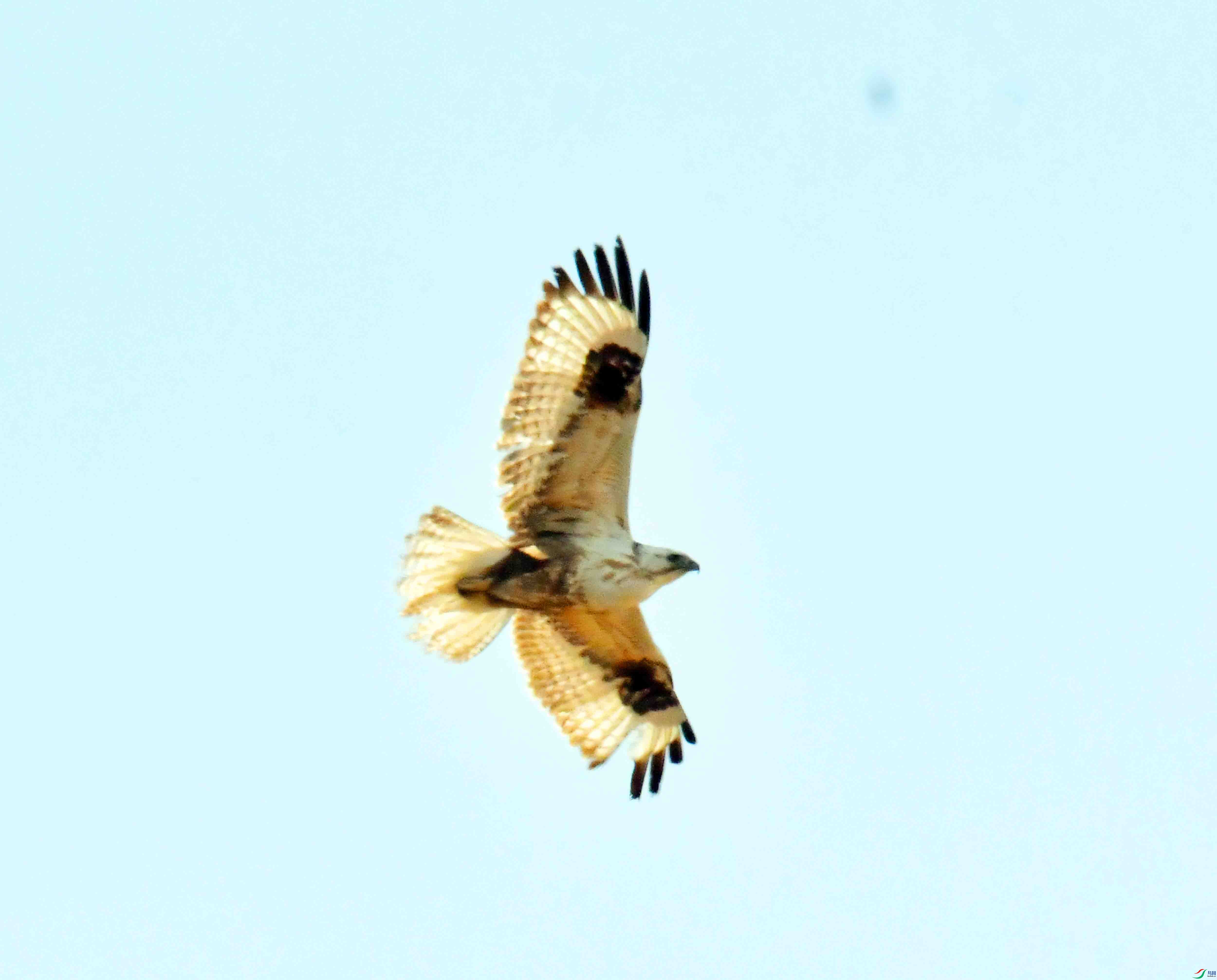 DSC_1817.JPG