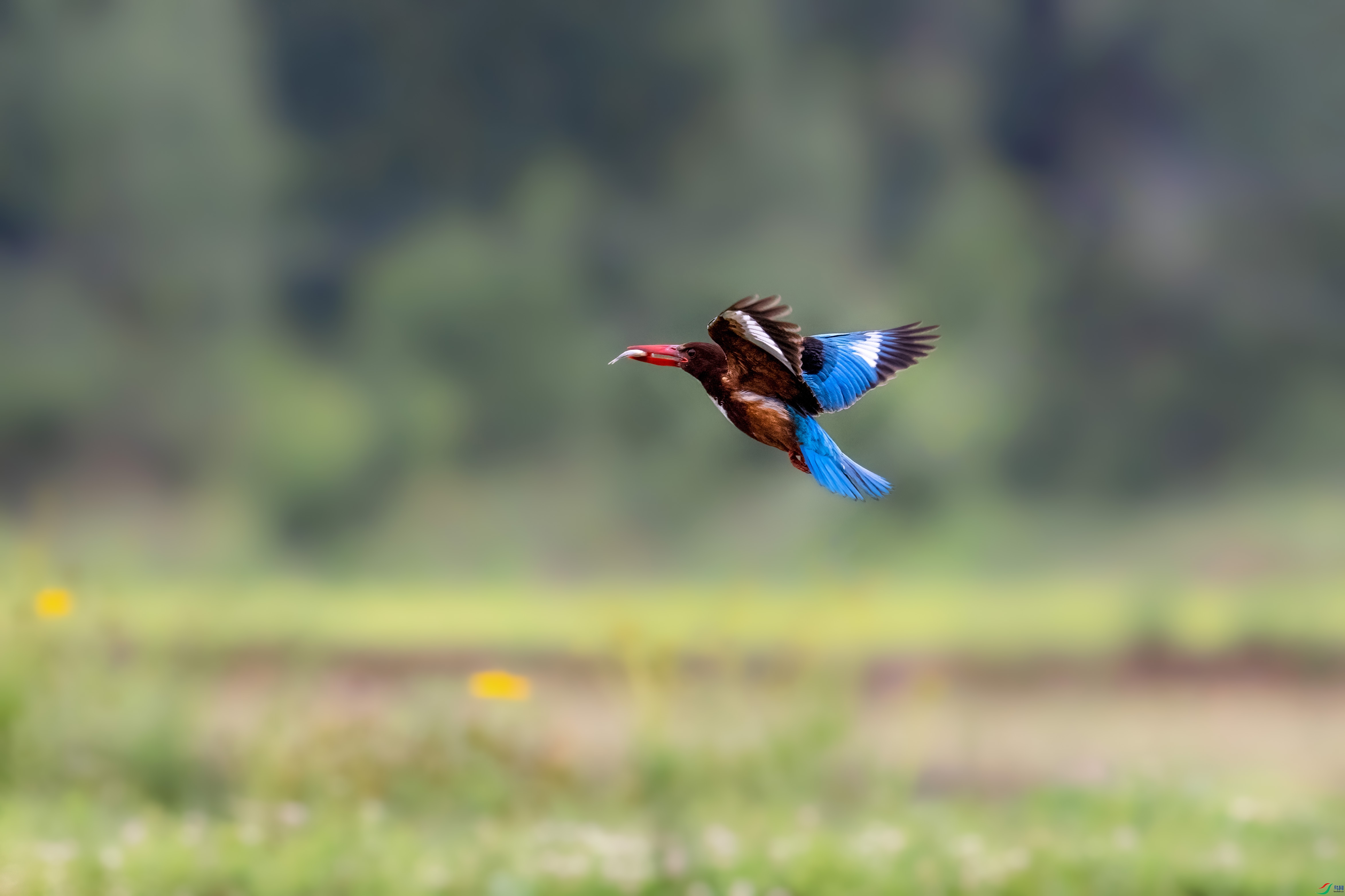 DSC_3595.jpg