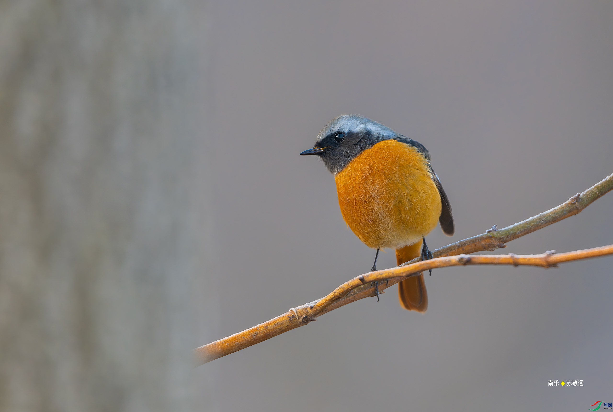 _DSC2652-DxO_С.jpg