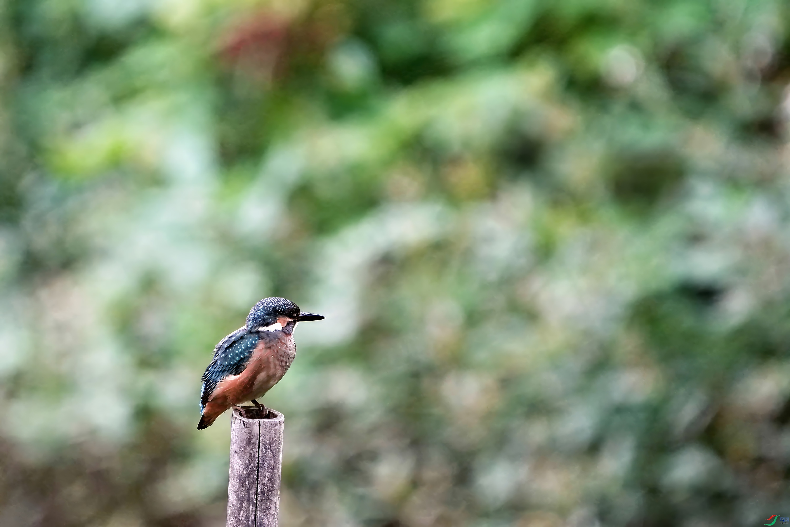 DSC05531-gigapixel.jpg