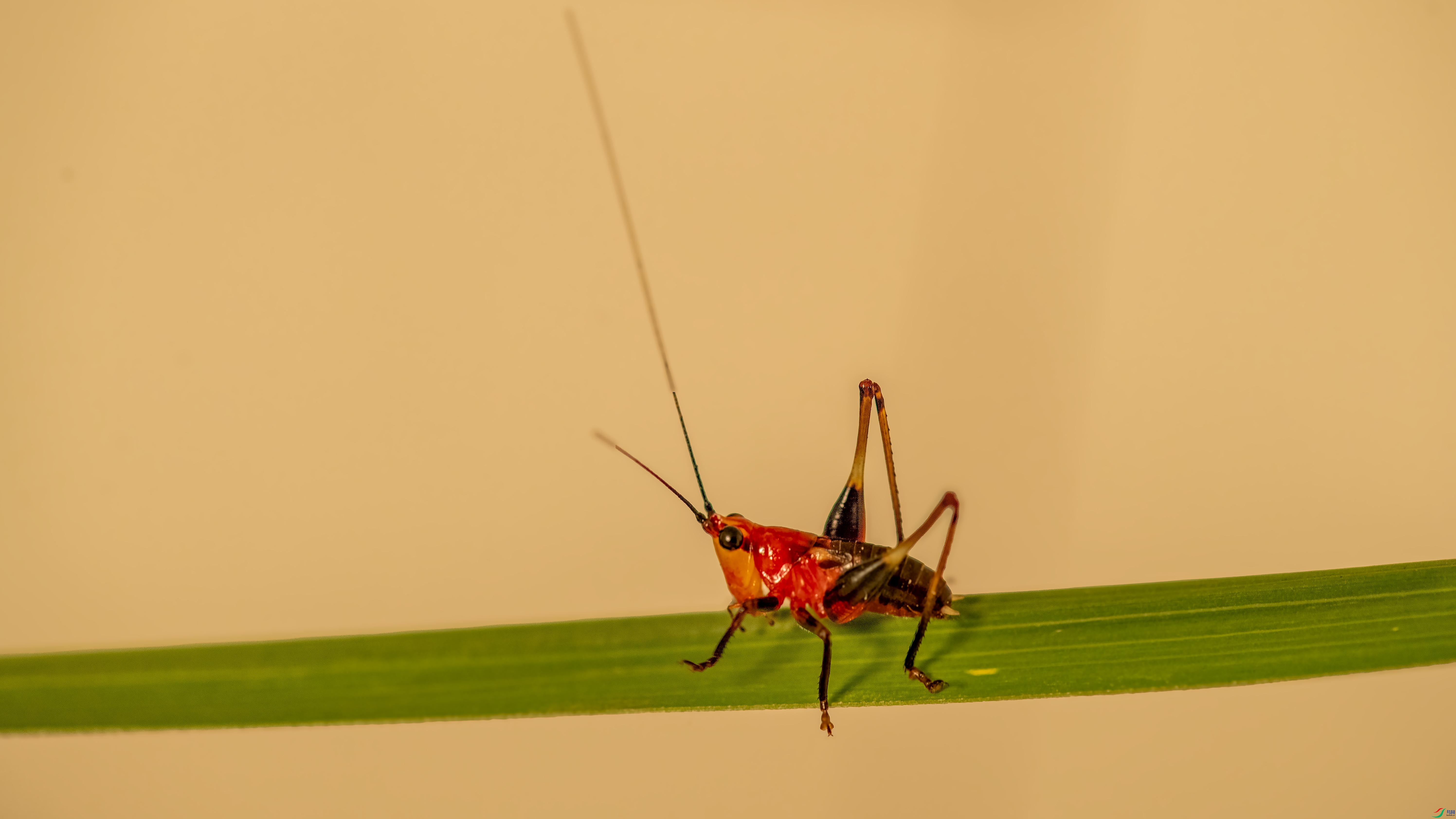 DSC_4546 ����.jpg