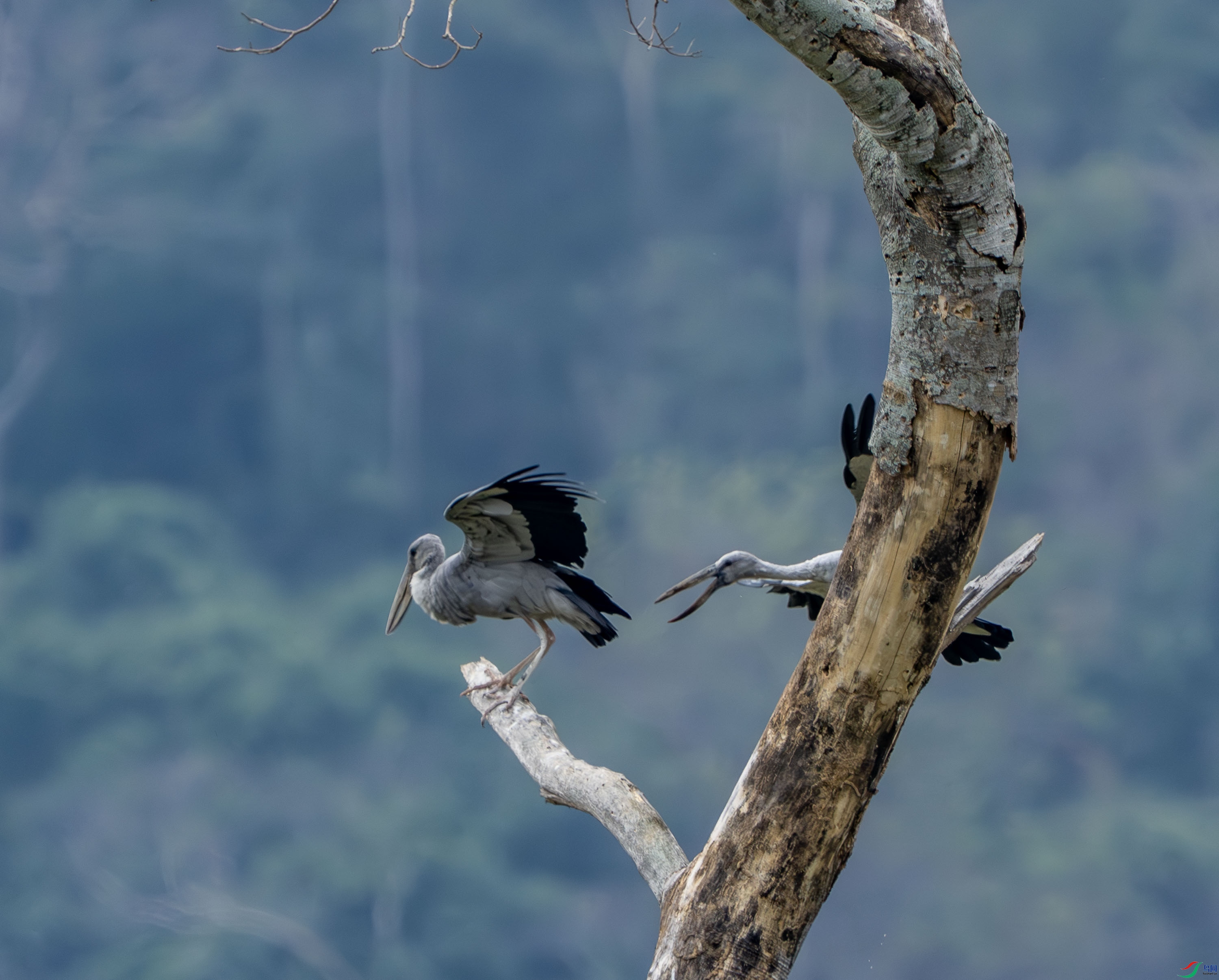 ǯ����-13-3.jpg