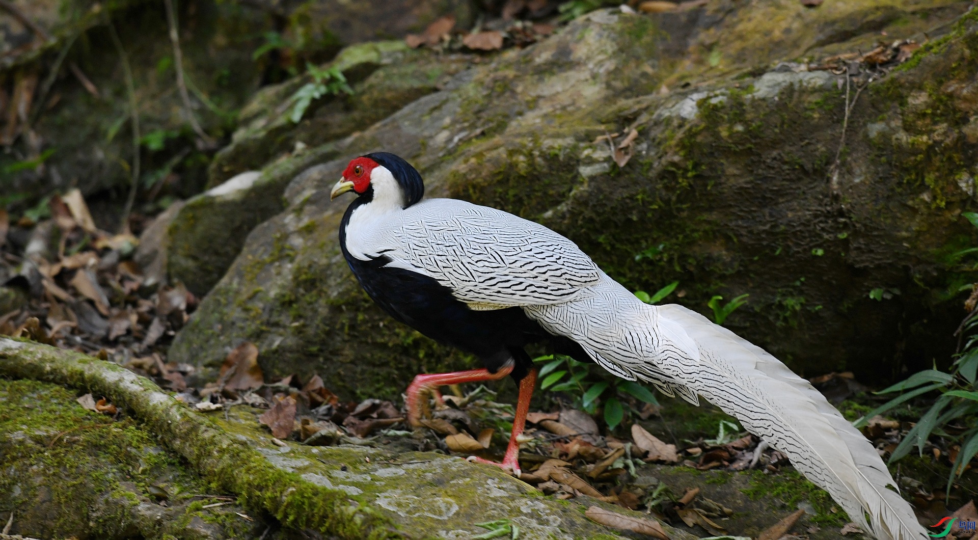 DSC_6197.jpg