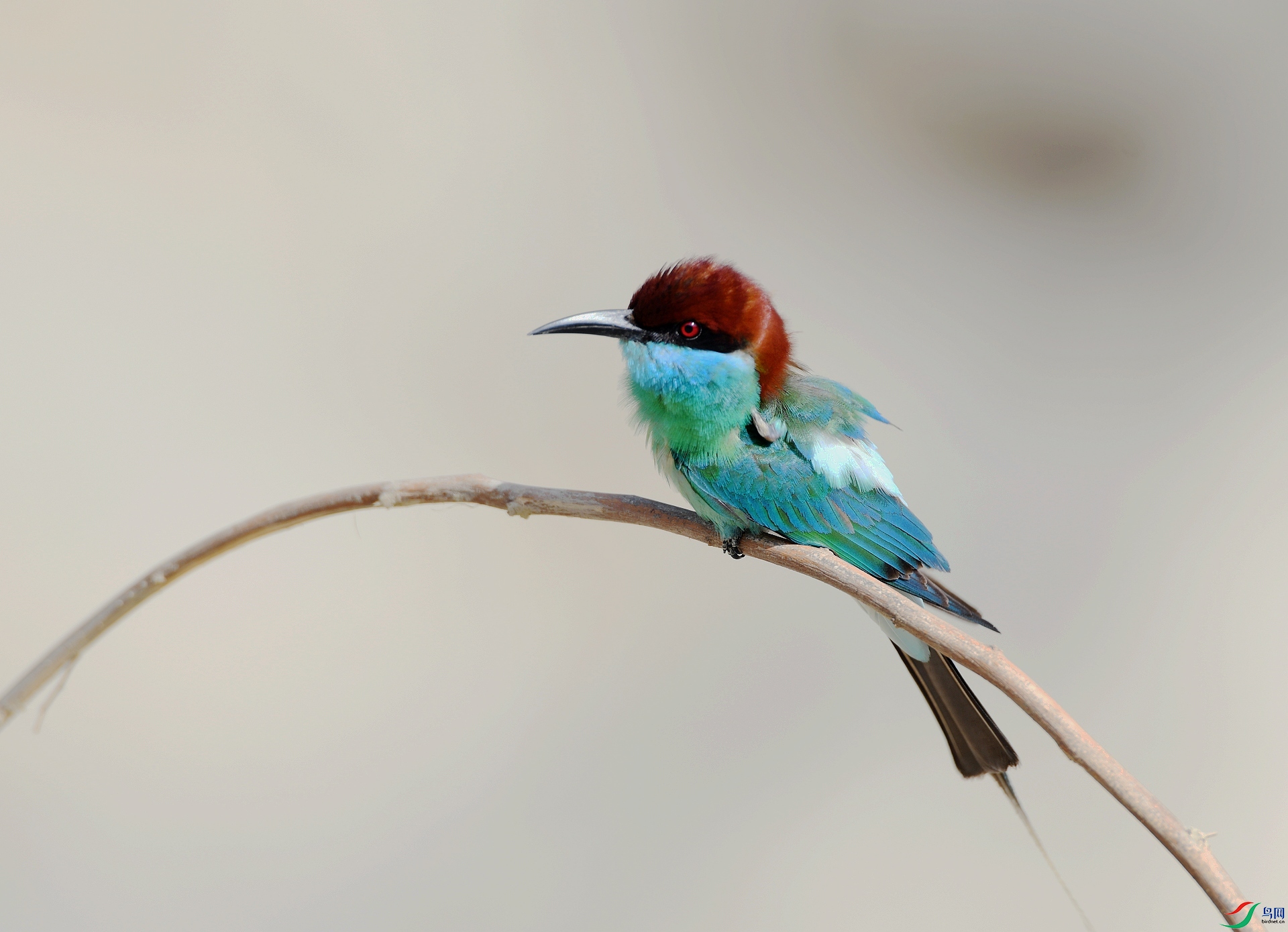 DSC_6695.jpg