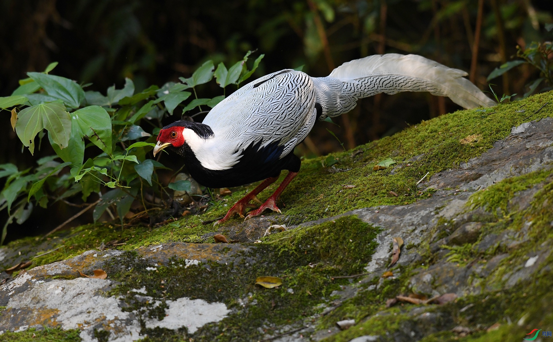 DSC_6169.jpg