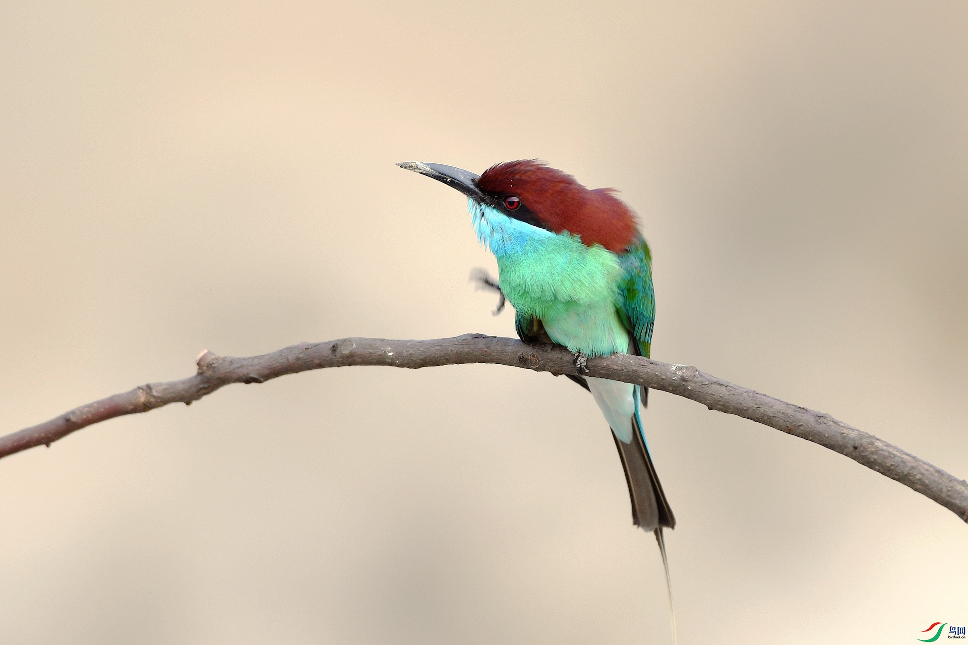 DSC_8720.jpg