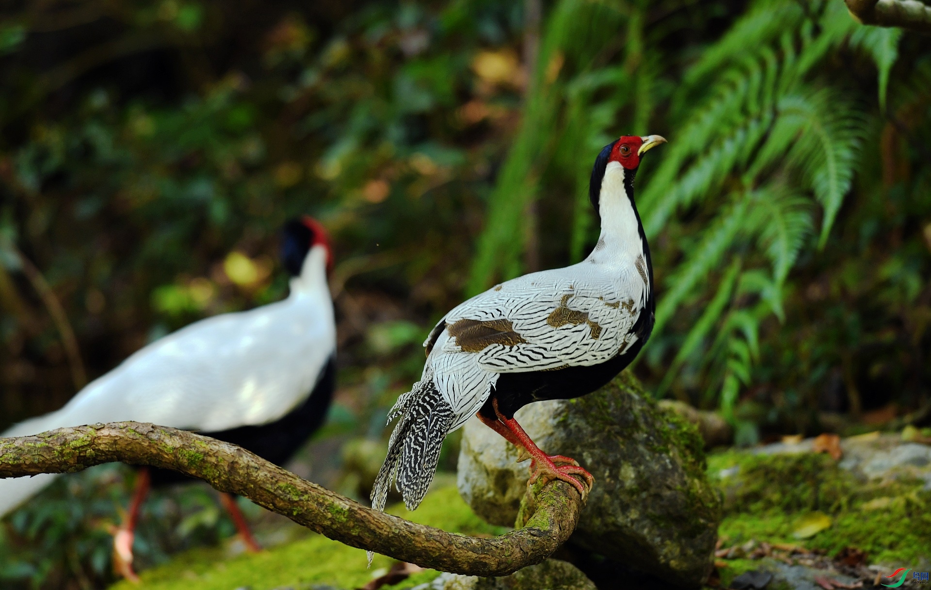 DSC_2028.jpg