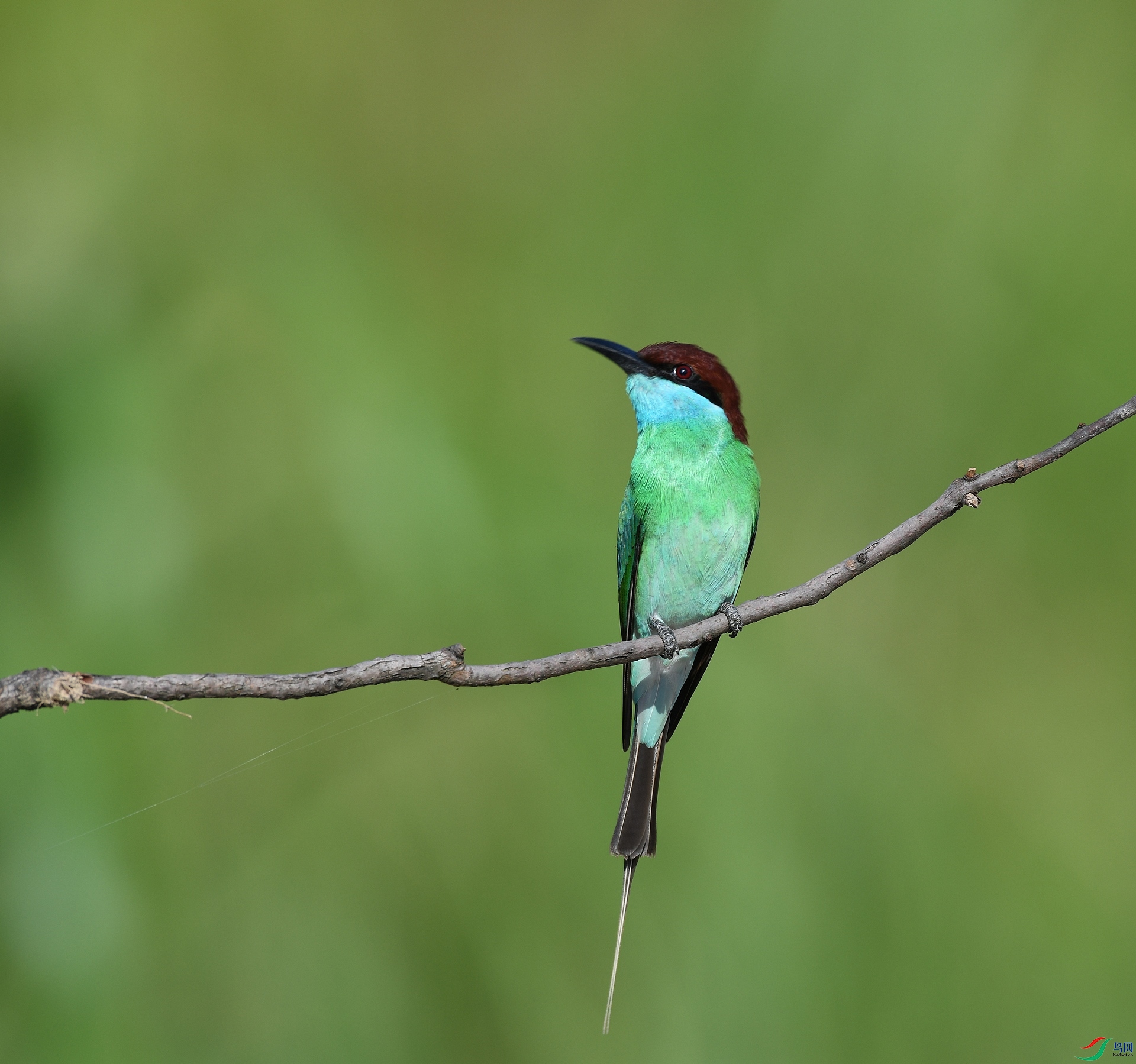 DSC_9209.jpg