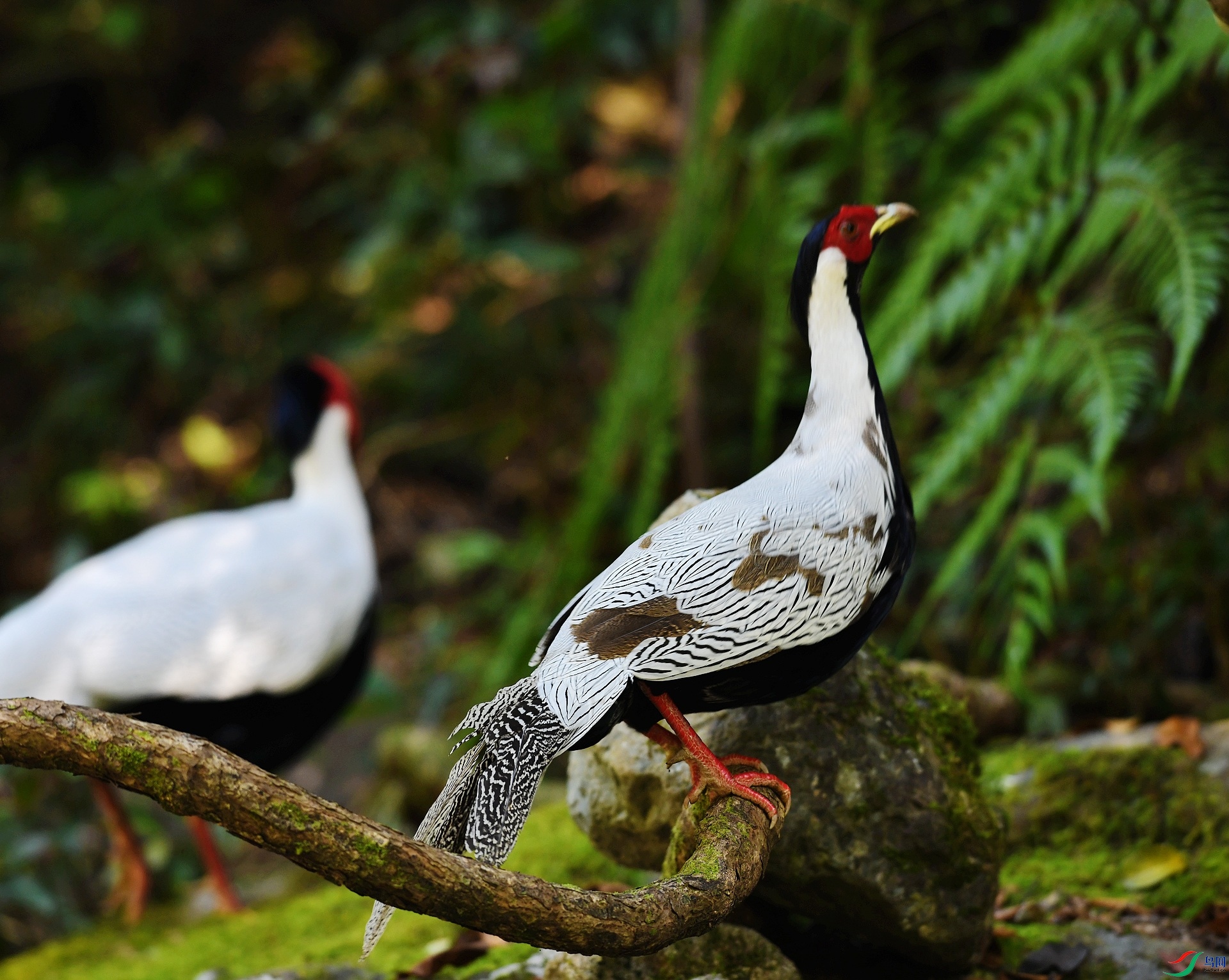 DSC_2029.jpg