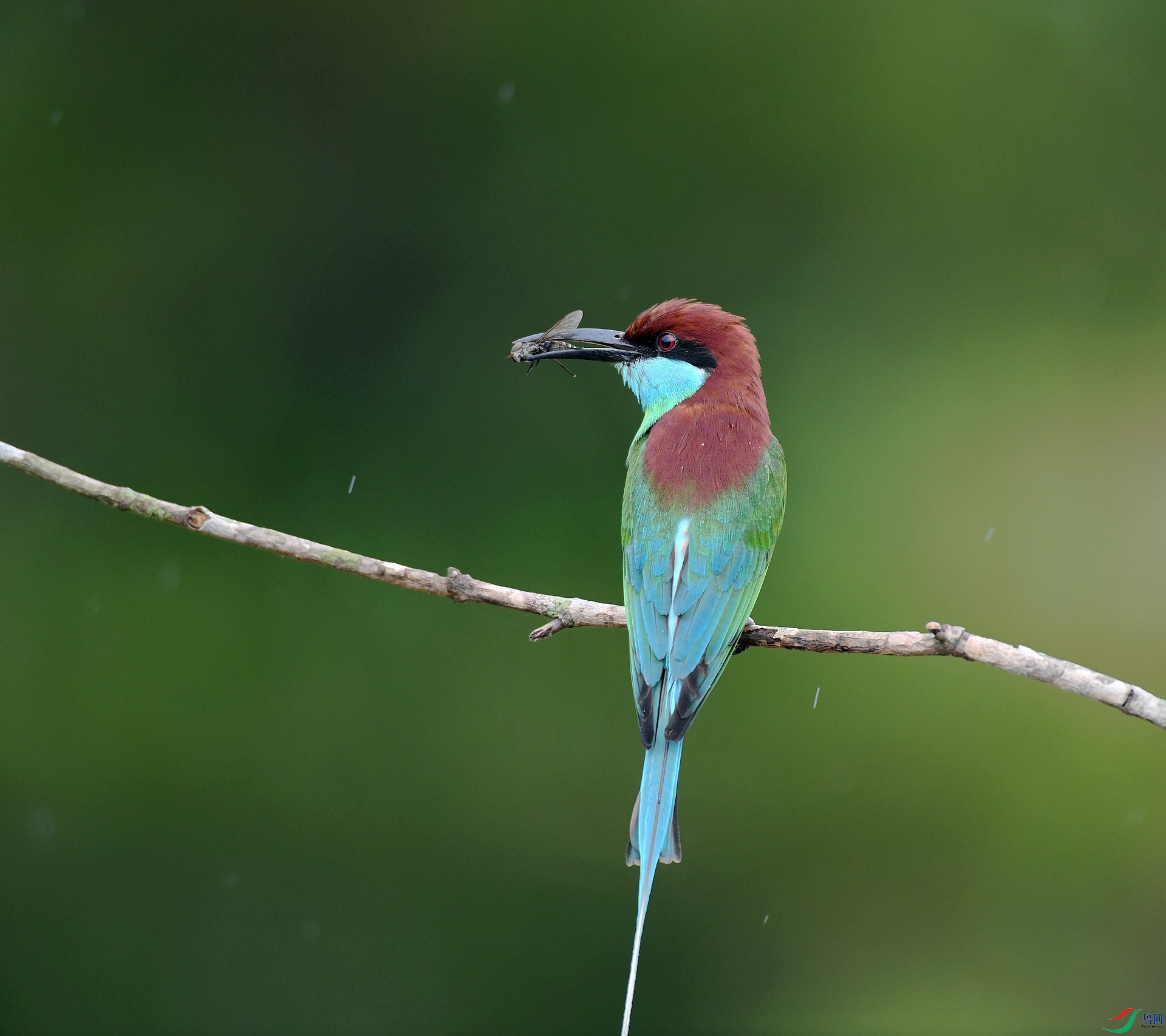 DSC_1521.jpg