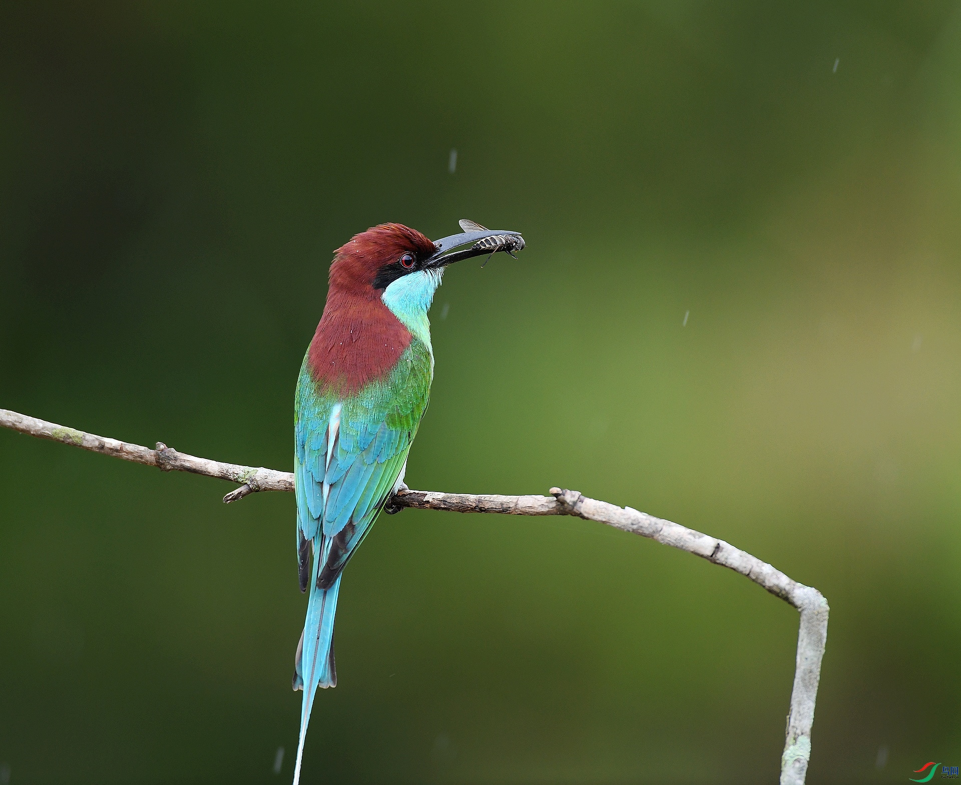 DSC_1523.jpg